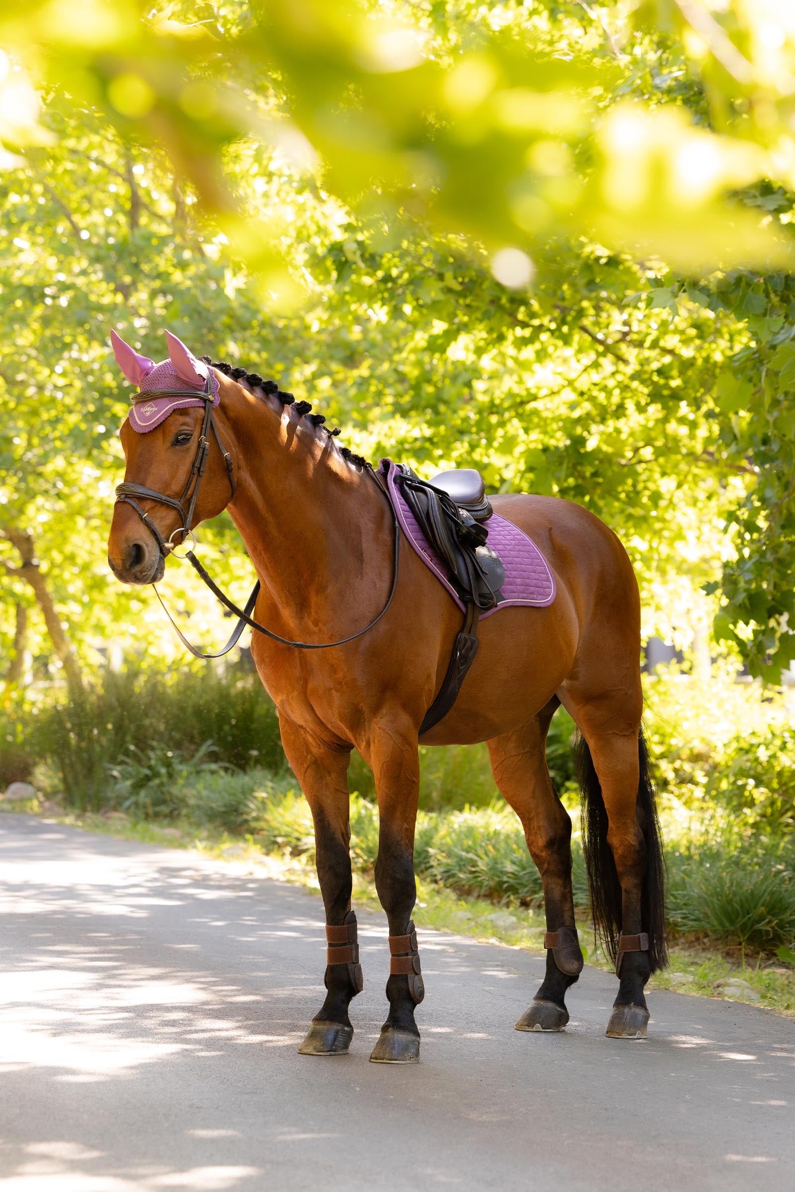 LeMieux Lemieux Suede Close Contact Square Saddle Pad Saddle Pads