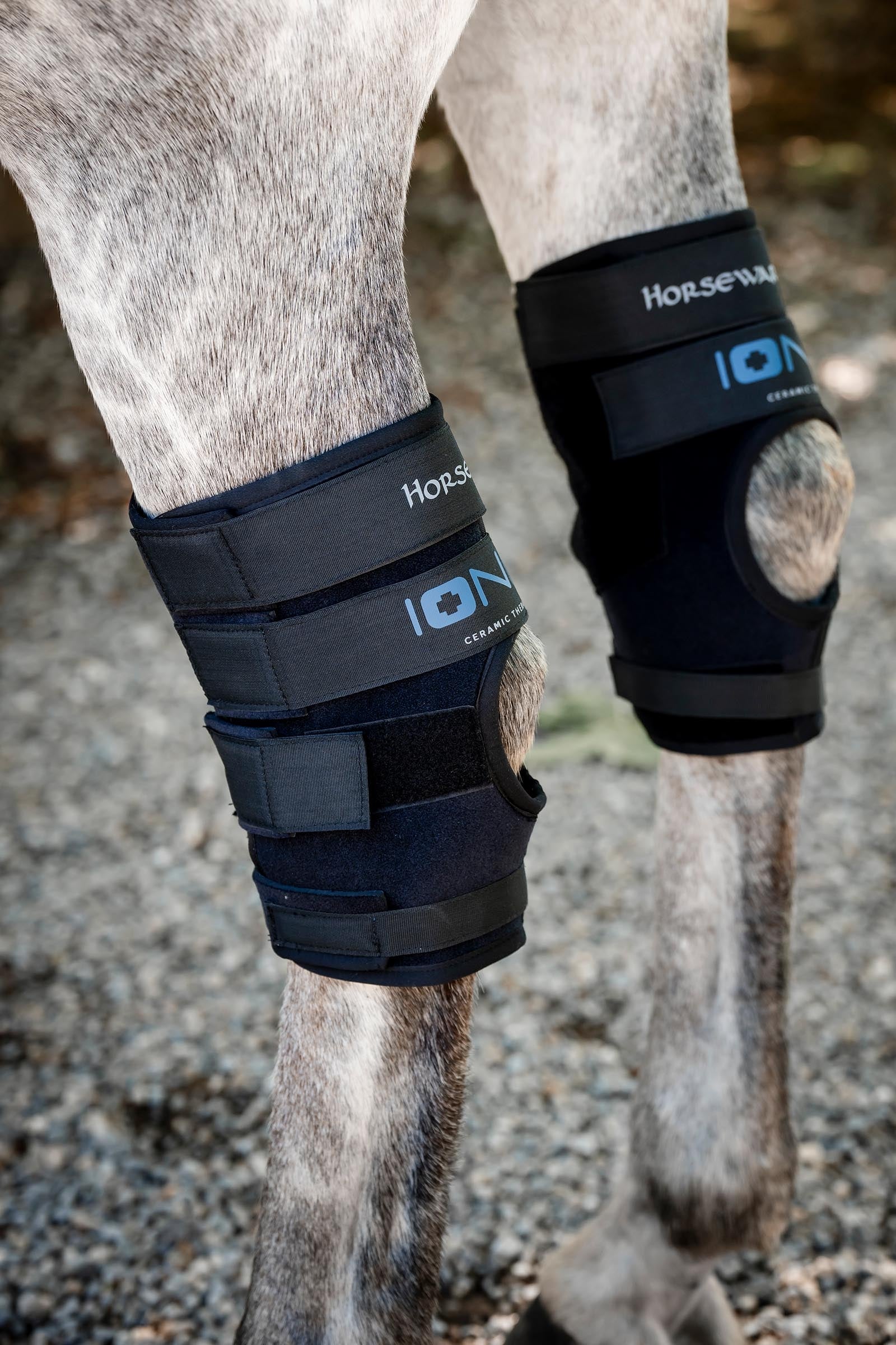 Horseware Ionic paratendini per garretto – set da 2 Leg & Hoof Protection