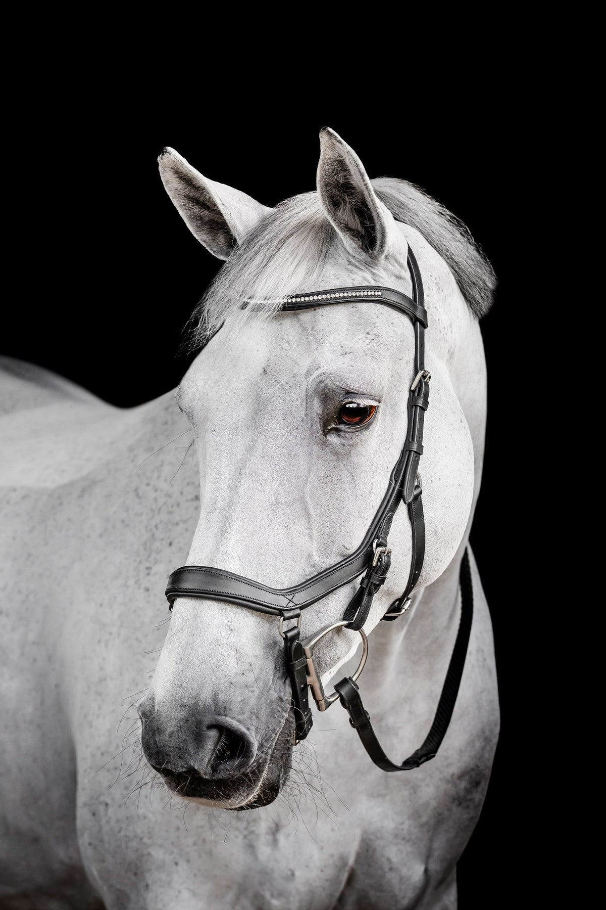 Horseware Diamante Competition Micklem Bridles & Reins