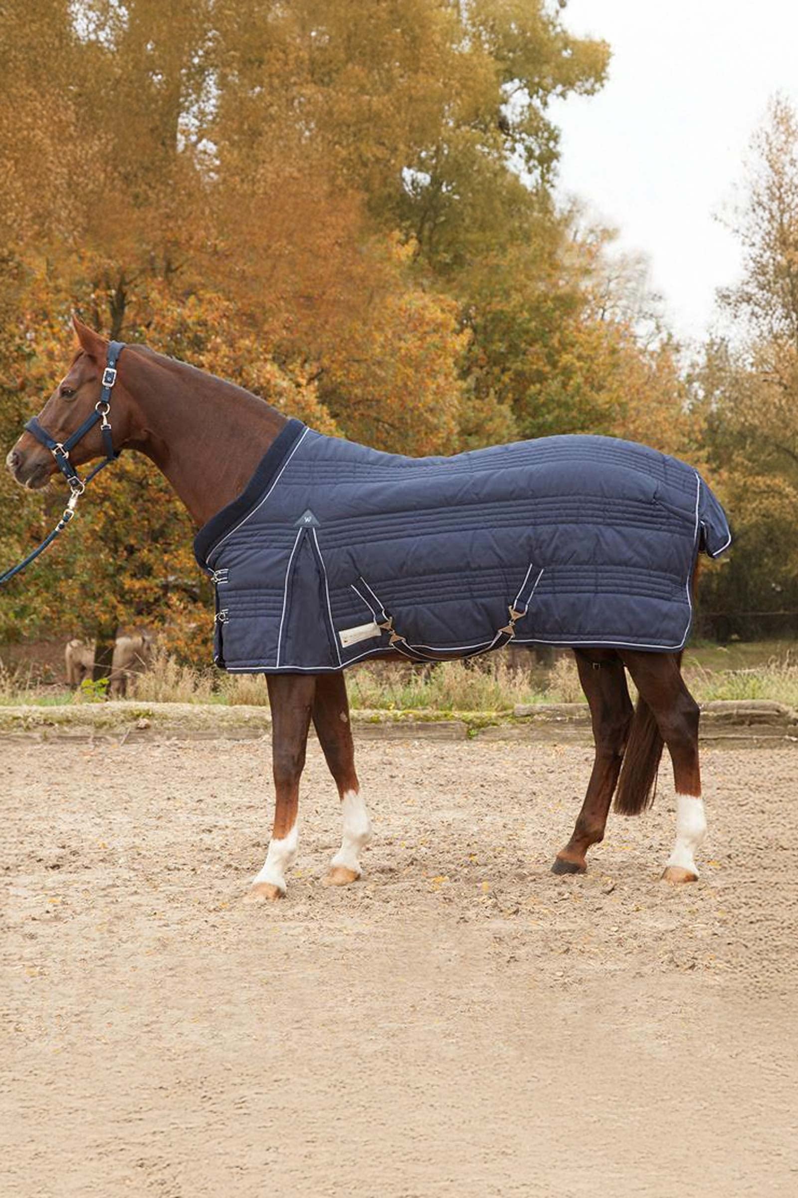 Waldhausen Stable Rug Comfort Line 100g Coperte per cavalli