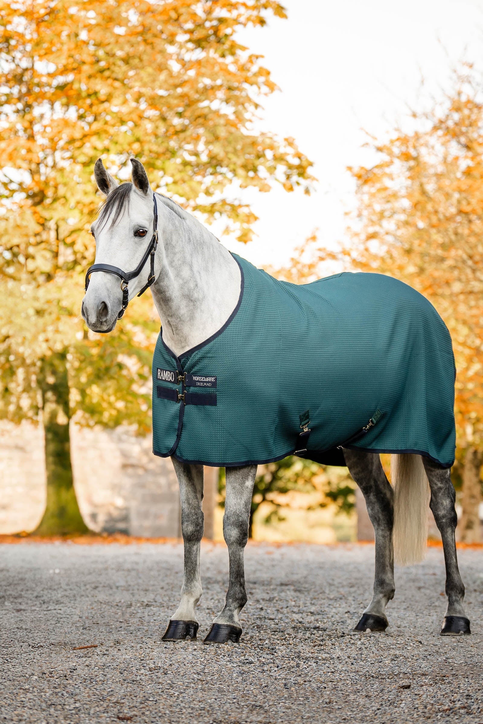 Horseware Rambo Techni Waffle leszárító takaró Coperte per cavalli