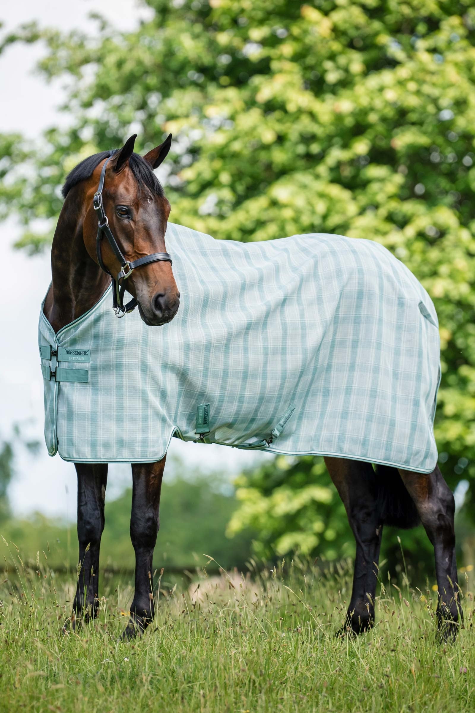 Horseware Newmarket coperta antimosche con protezione UV Coperte per cavalli