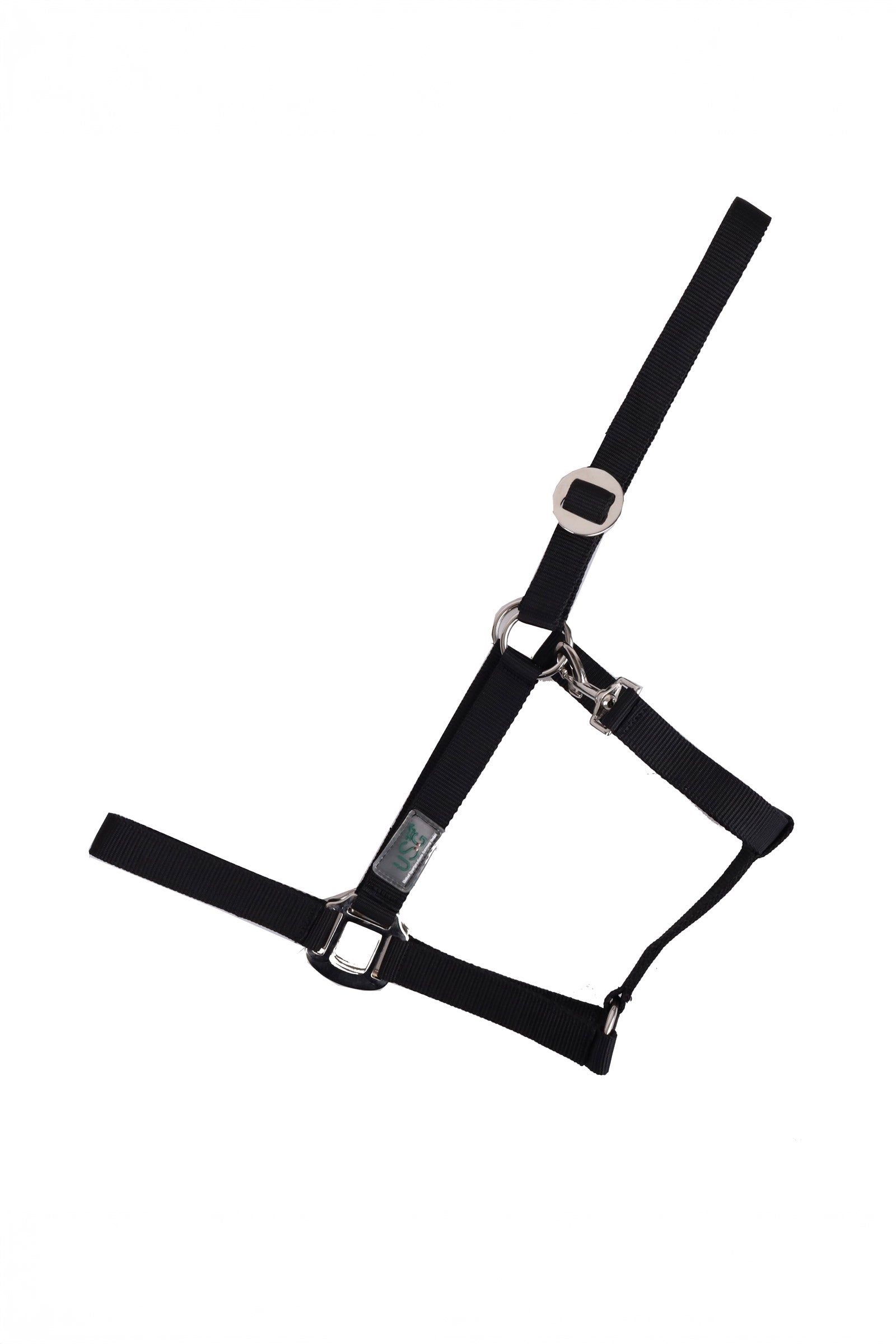 USG capezza Basic con finiture argentate Cavezze e guinsagli