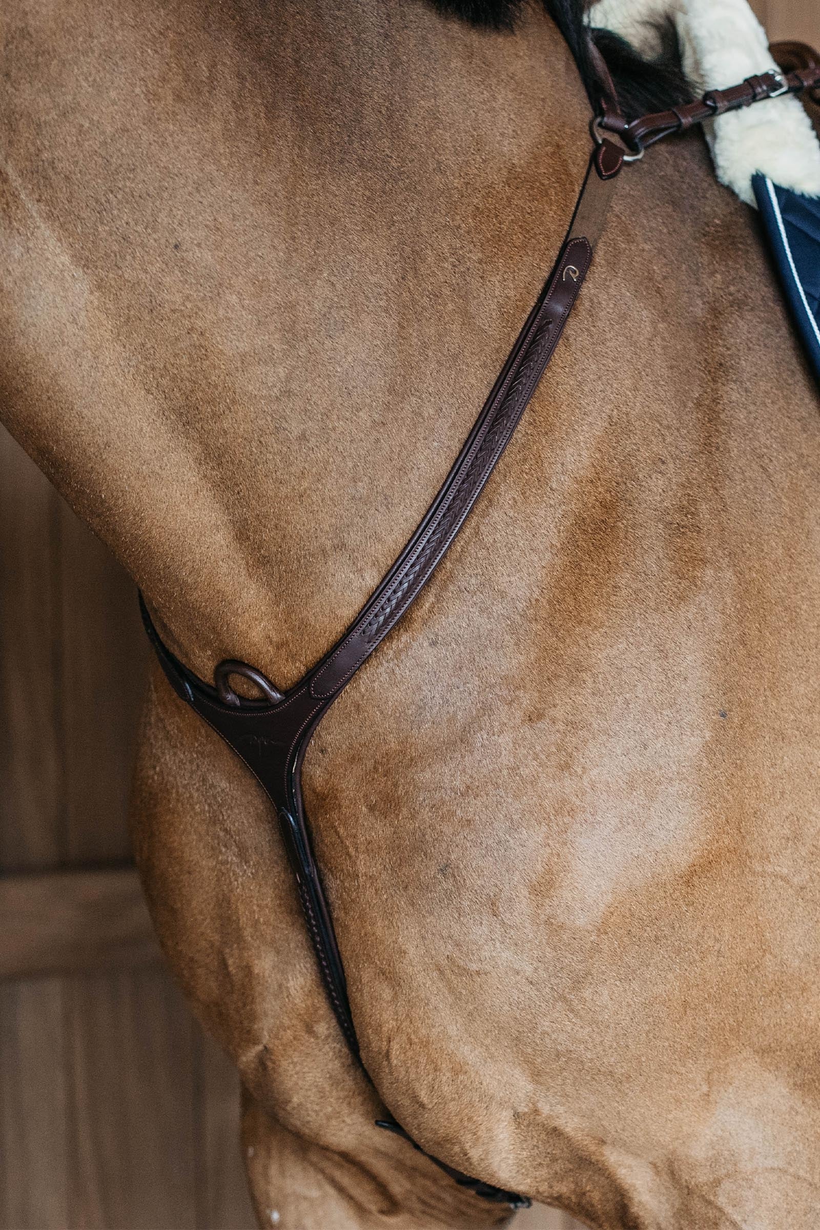 Dy'on New English pettorale intrecciato con ponte Briglie & redini
