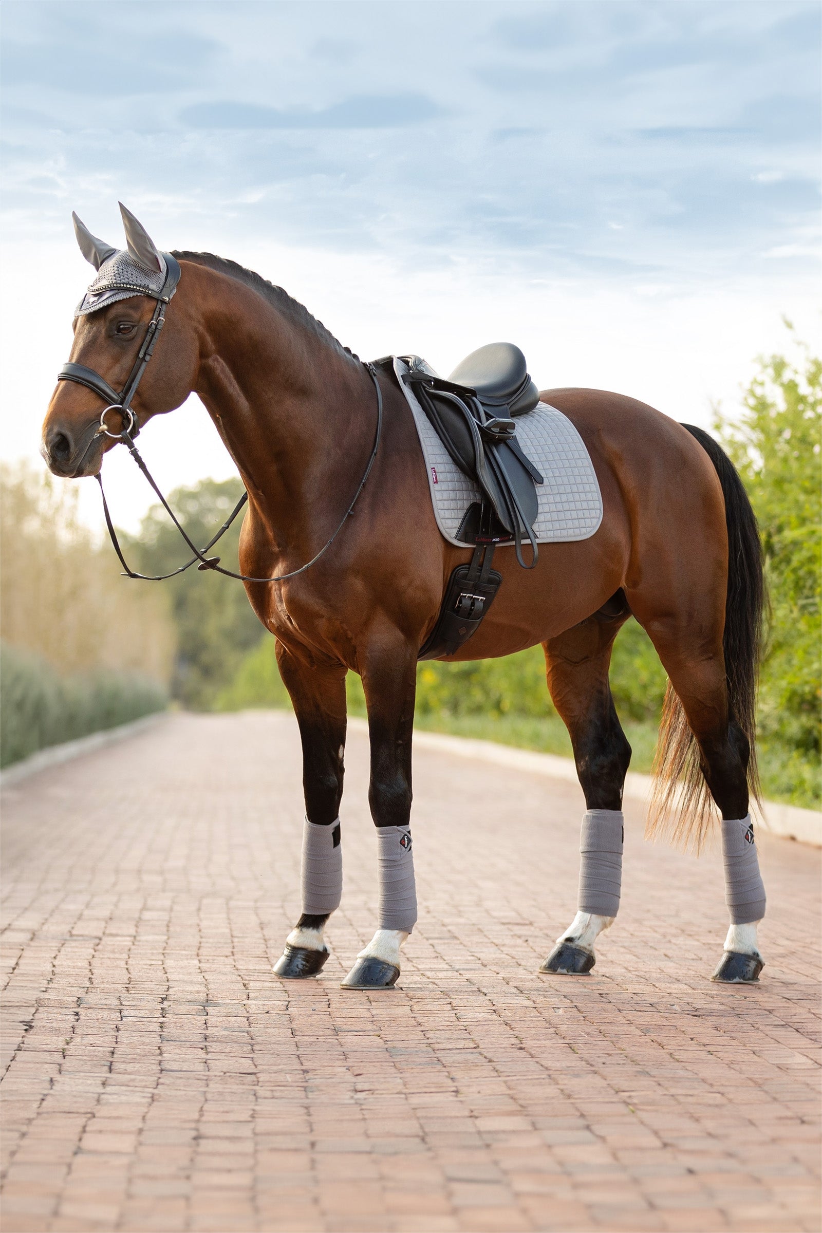 LeMieux Suede sottosella dressage Sottosella