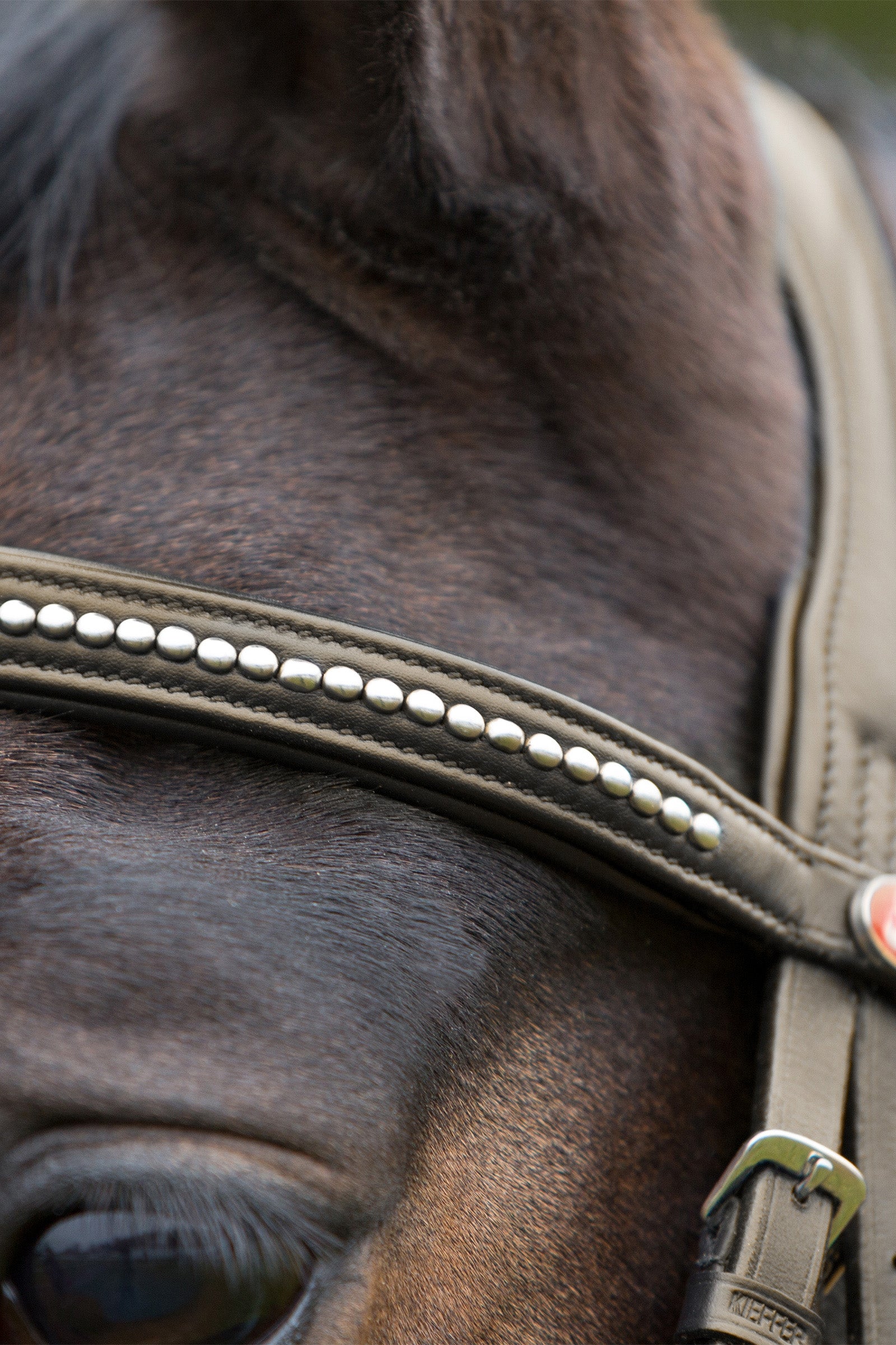 Kieffer Ultrasoft® Bridle Bridles & Reins