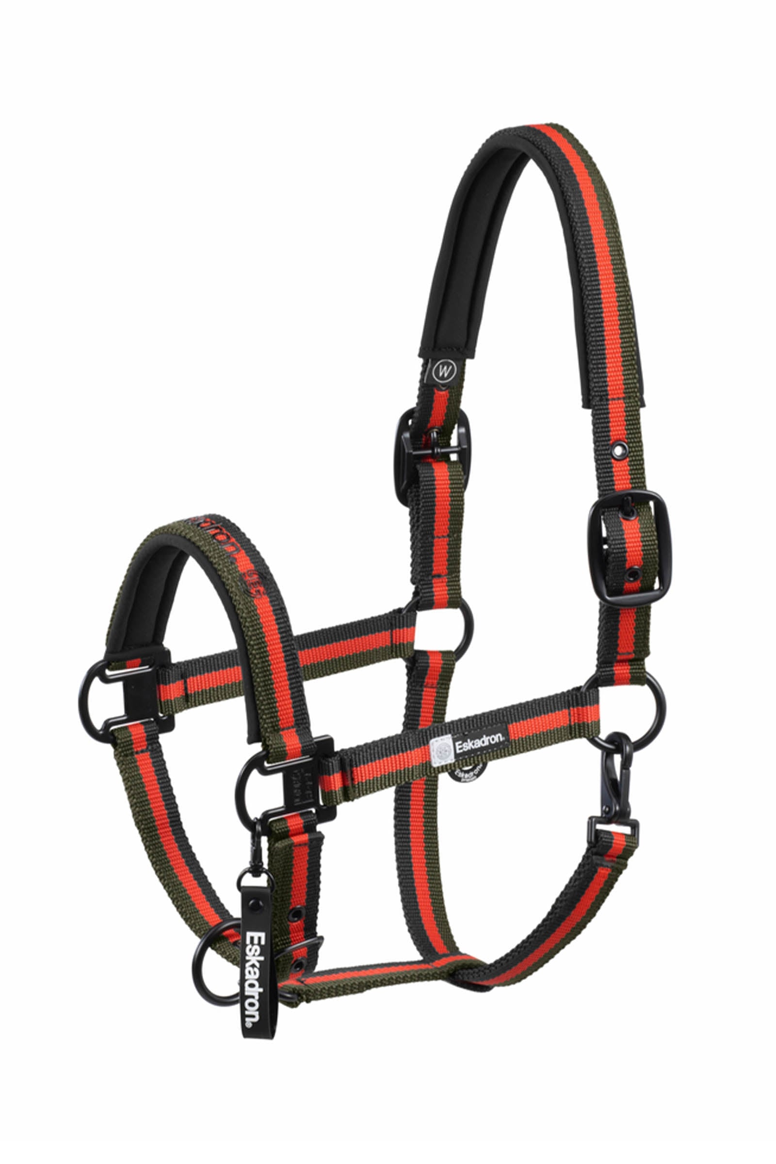Eskadron Dynamics AW25 cavezza con fibbia doppia Cavezze e guinsagli