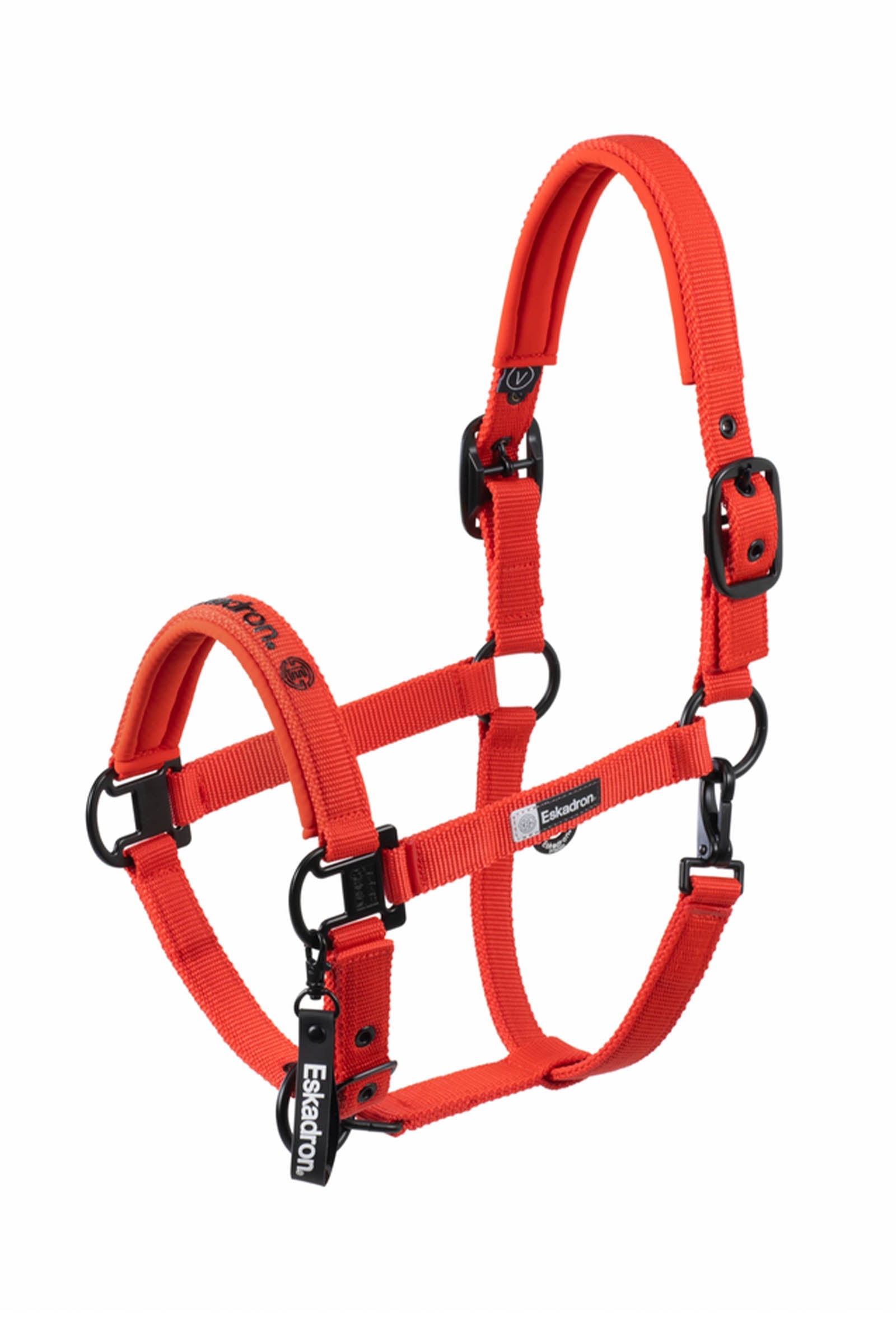 Eskadron Dynamics AW25 cavezza con fibbia doppia Cavezze e guinsagli