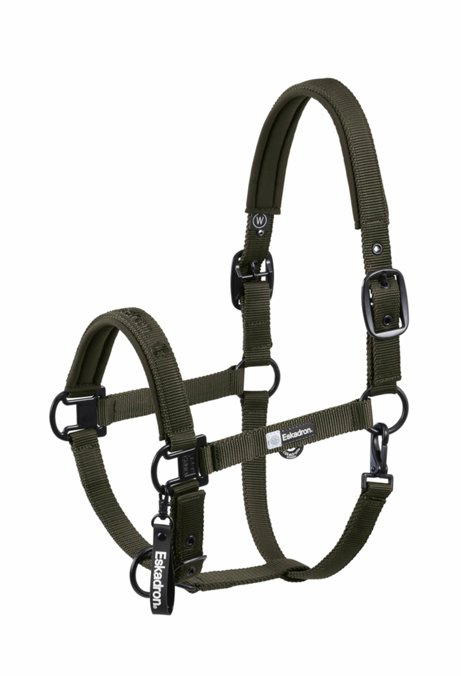 Eskadron Dynamics AW25 cavezza con fibbia doppia Cavezze e guinsagli
