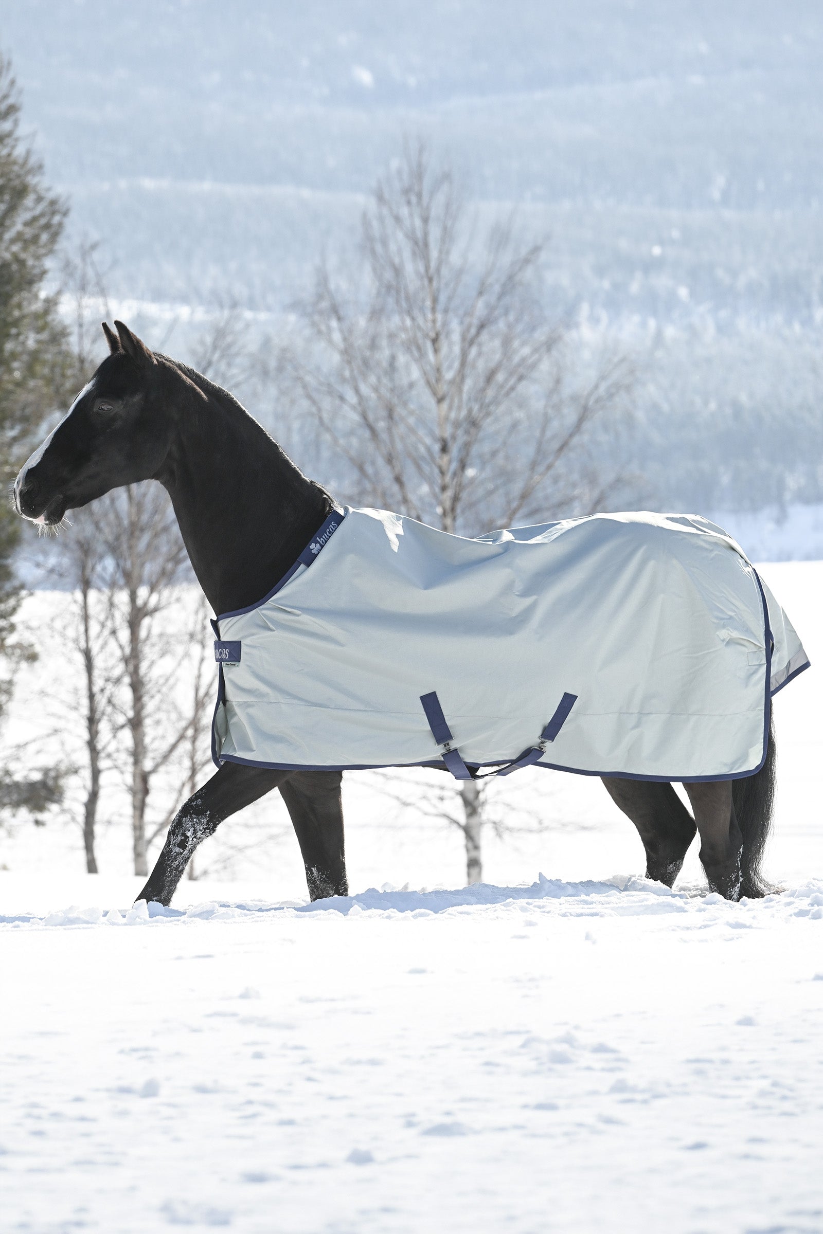 Bucas Power Turnout Medium Horse Rugs