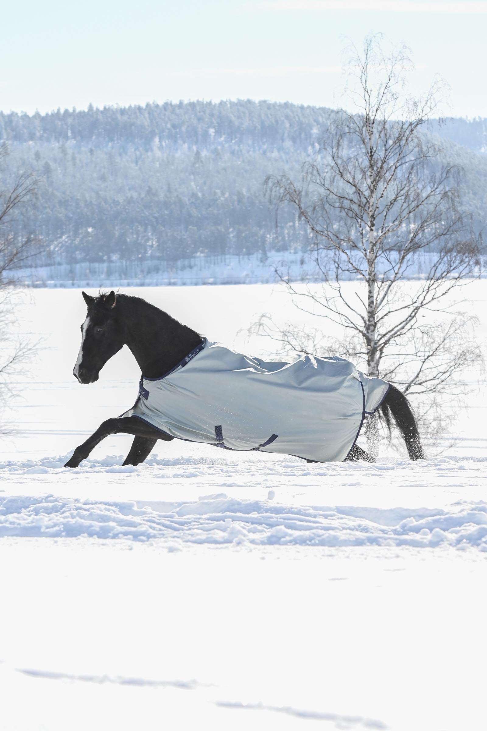 Bucas Power Turnout Medium Horse Rugs