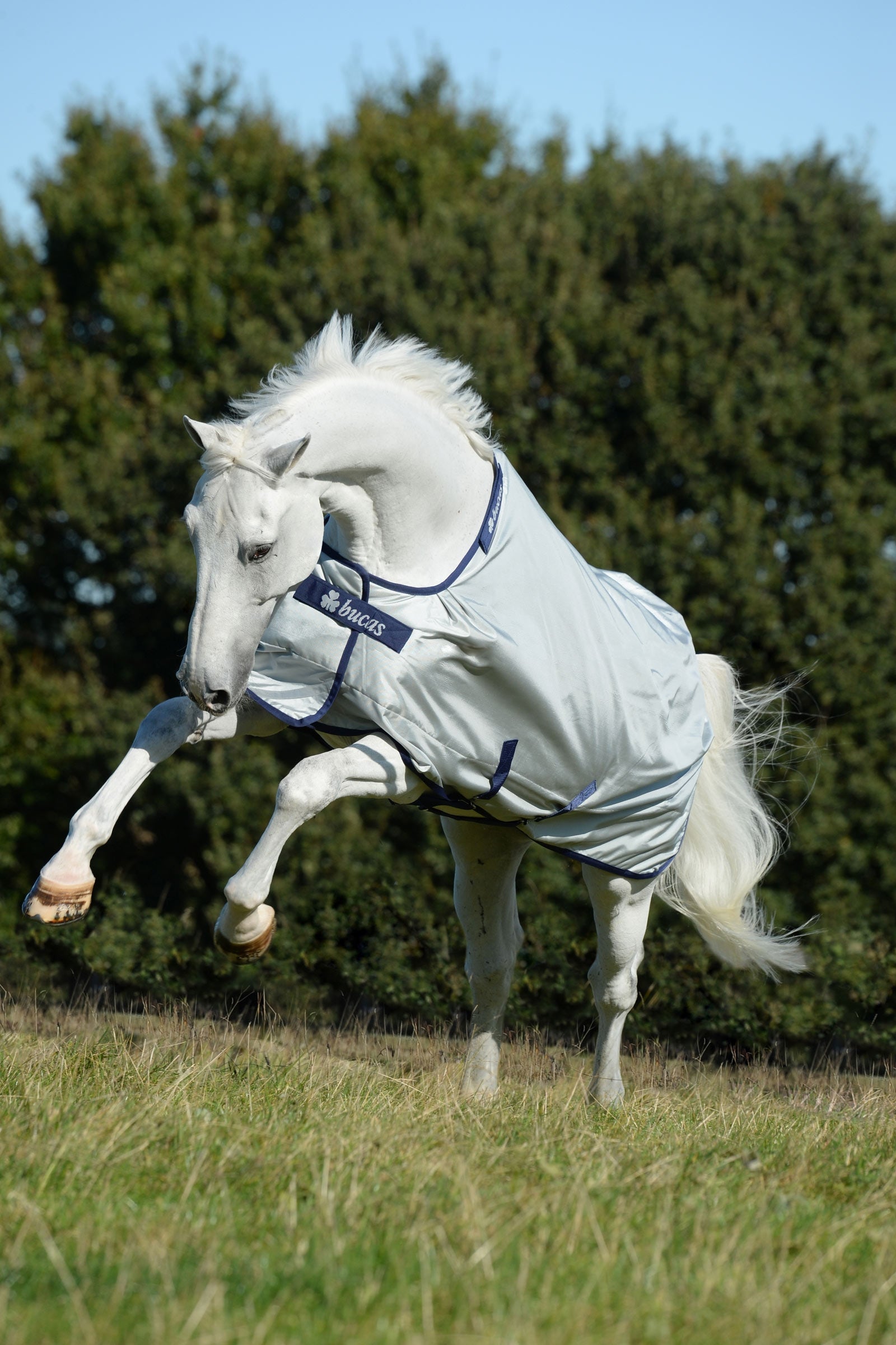 Bucas Power coperta da turnout con ampia scollatura, 0g Coperte per cavalli