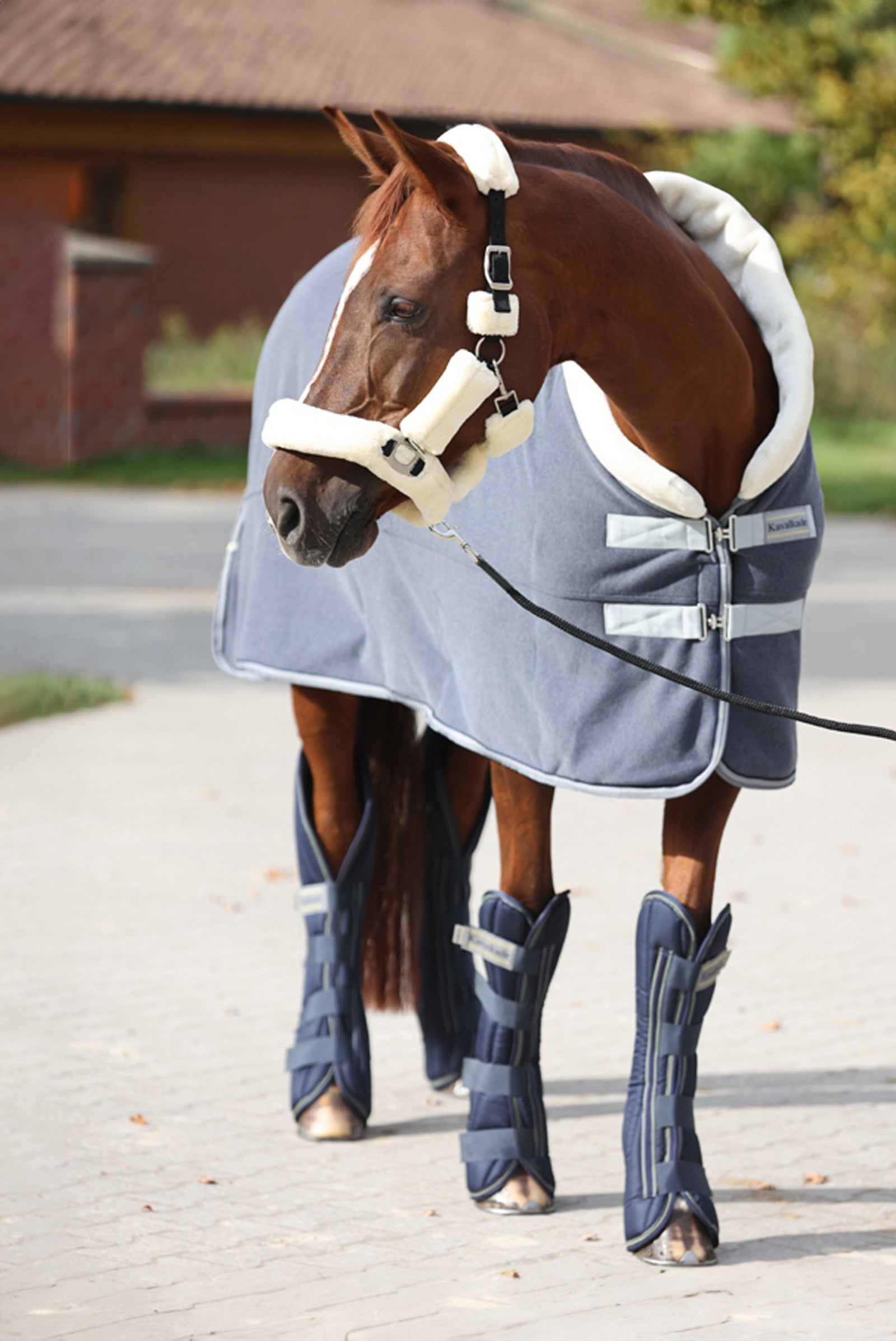 Kavalkade Elegance Traveling & Cooler Rug Horse Rugs