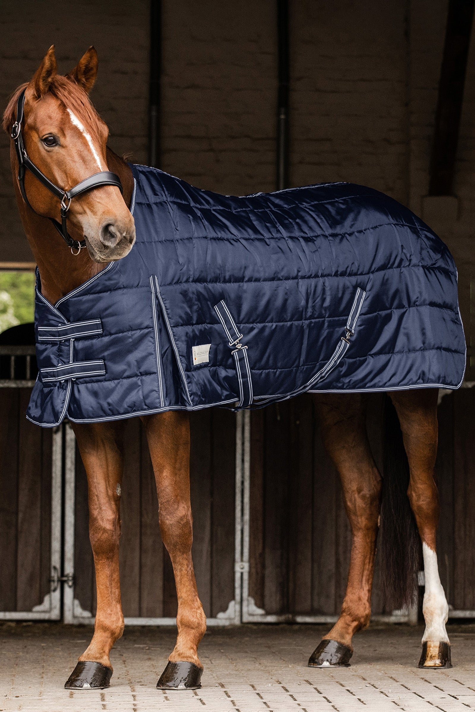 Waldhausen Stable Rug Economic 100 g Horse Rugs