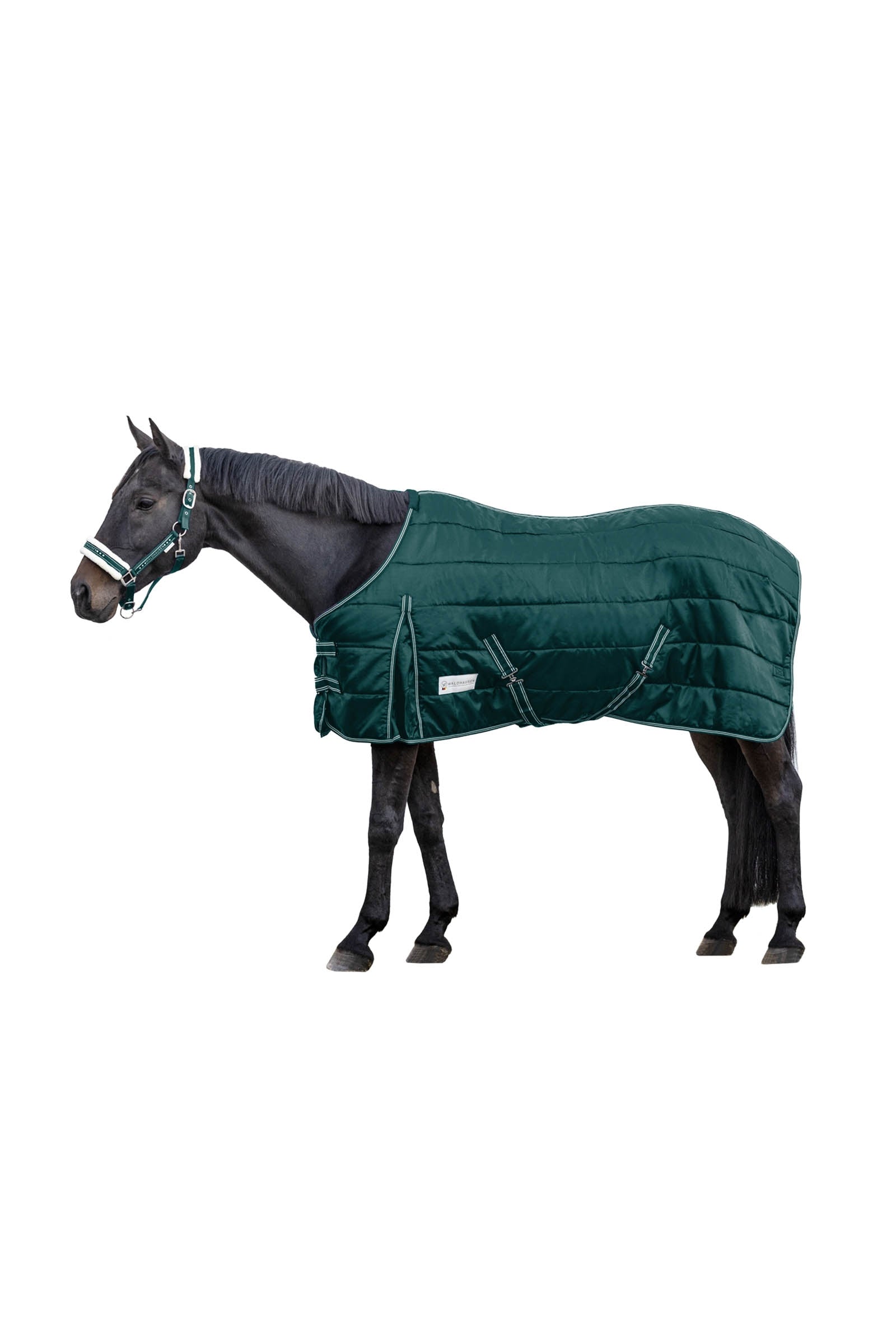 Waldhausen Stable Rug Economic 100 g Coperte per cavalli