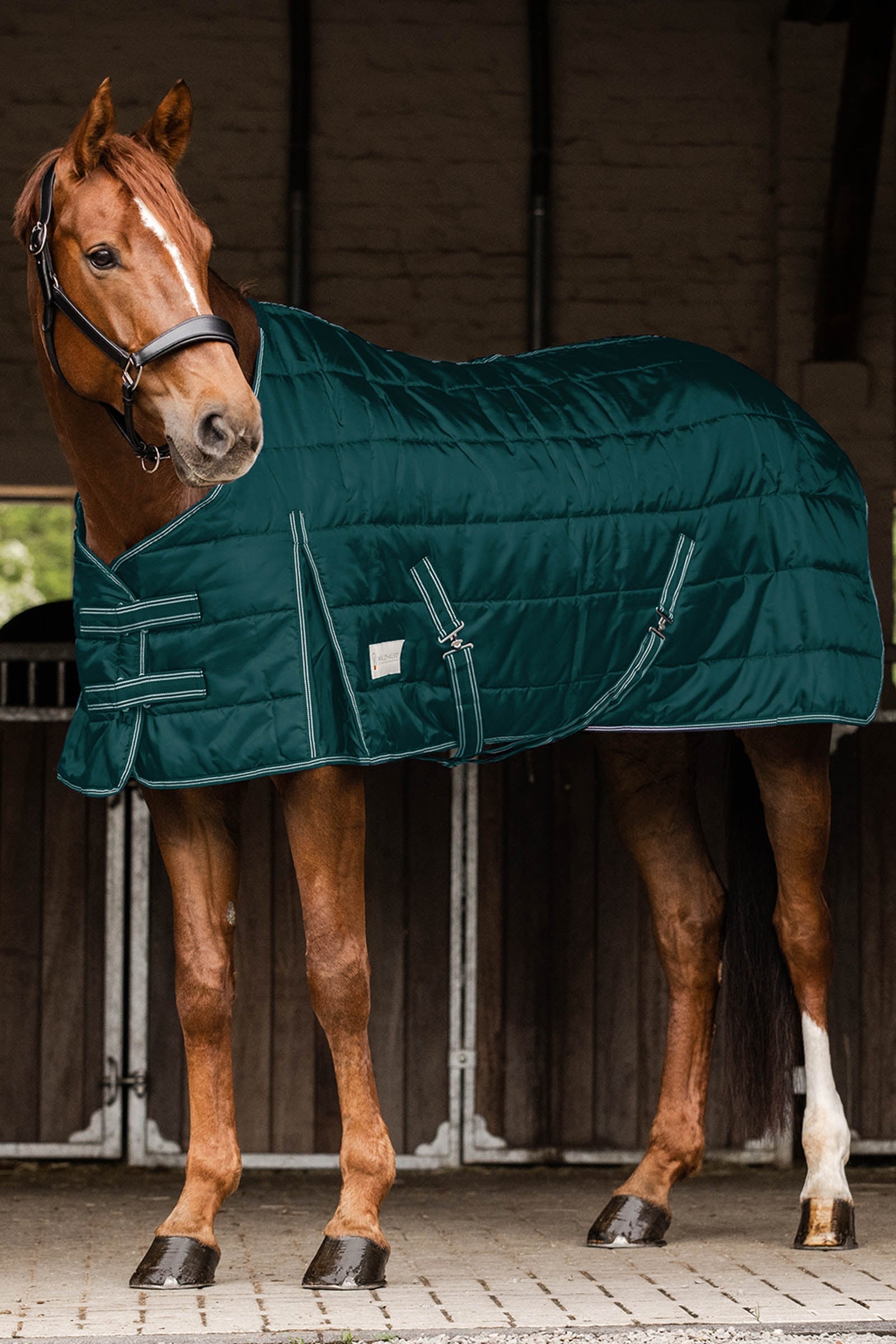 Waldhausen Stable Rug Economic 100 g Horse Rugs