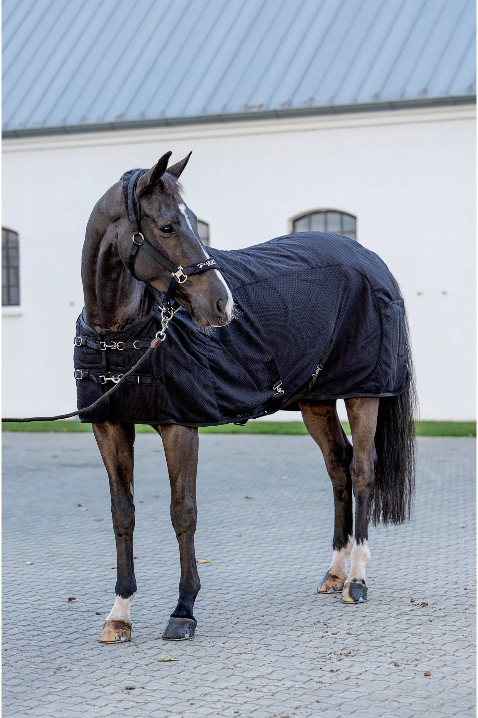 Catago CATAGO FIR-Tech Rug Horse Rugs