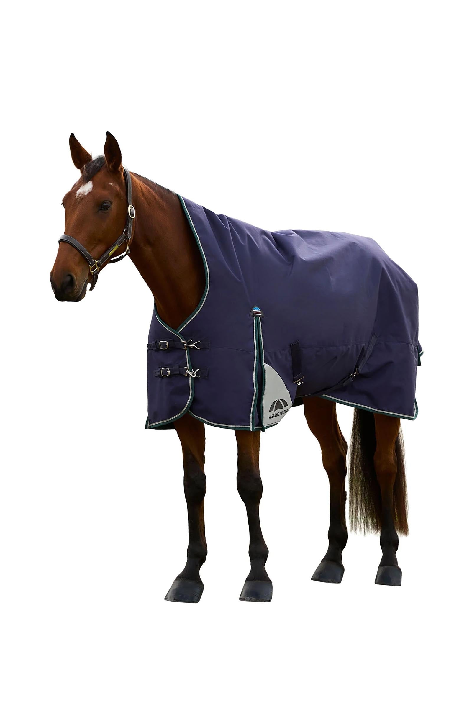 Weatherbeeta Comfitec Plus Dynamic Turnout Rug High Neck 220g Coperte per cavalli