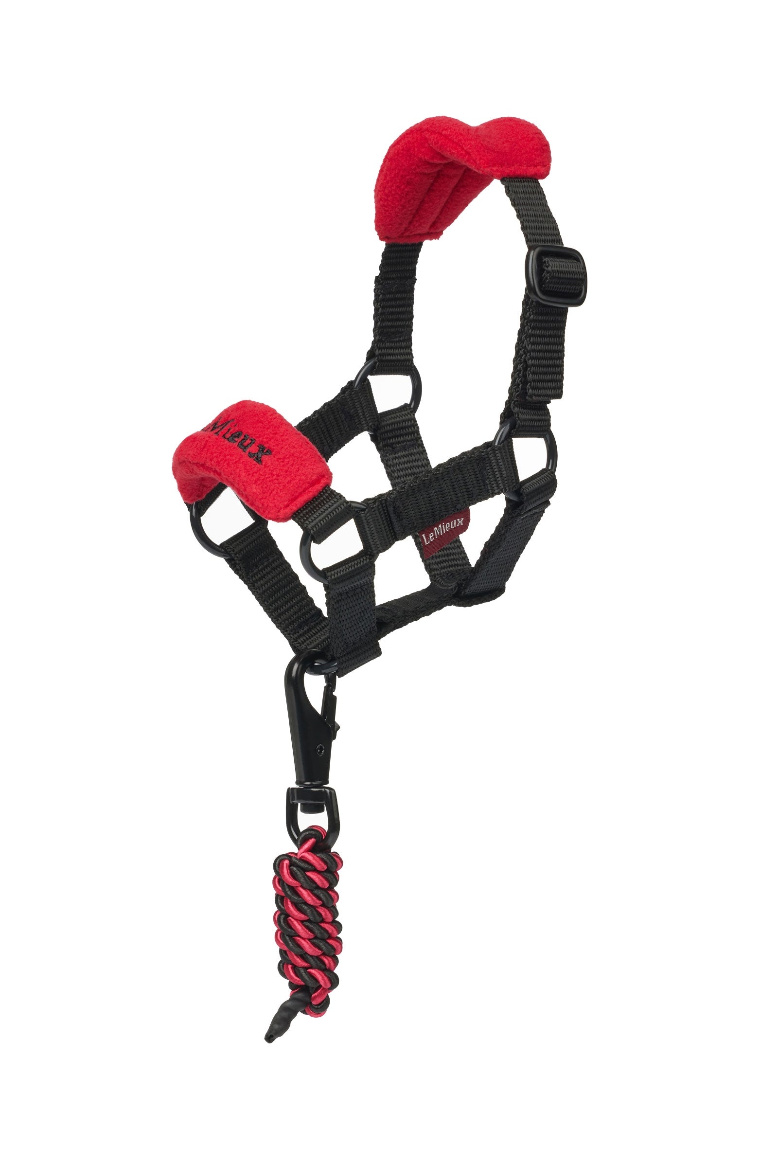 LeMieux Vogue Toy Pony cavezza e longhina Regali