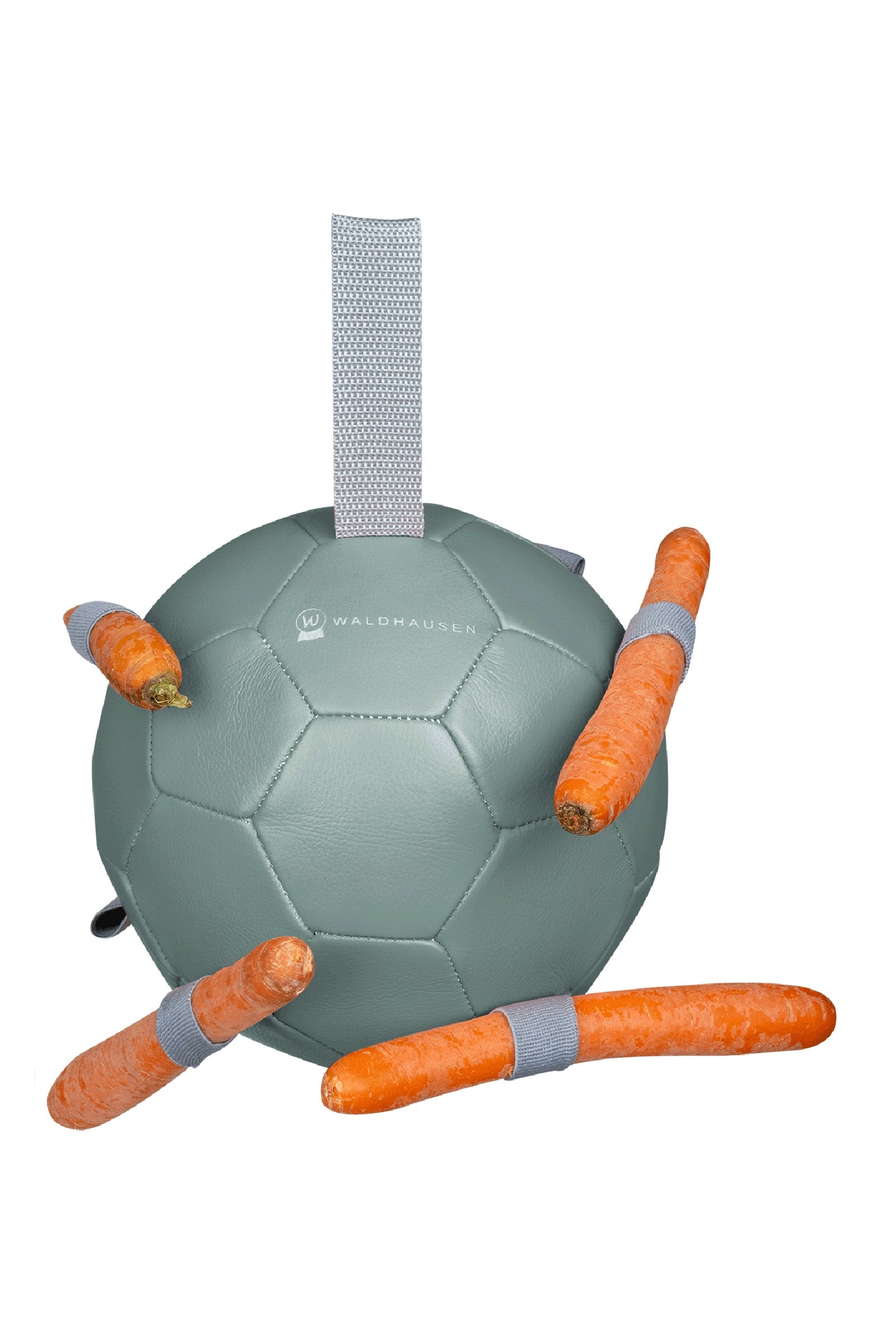 Waldhausen Pallina di carote Attrezzatura da gara & Giochi