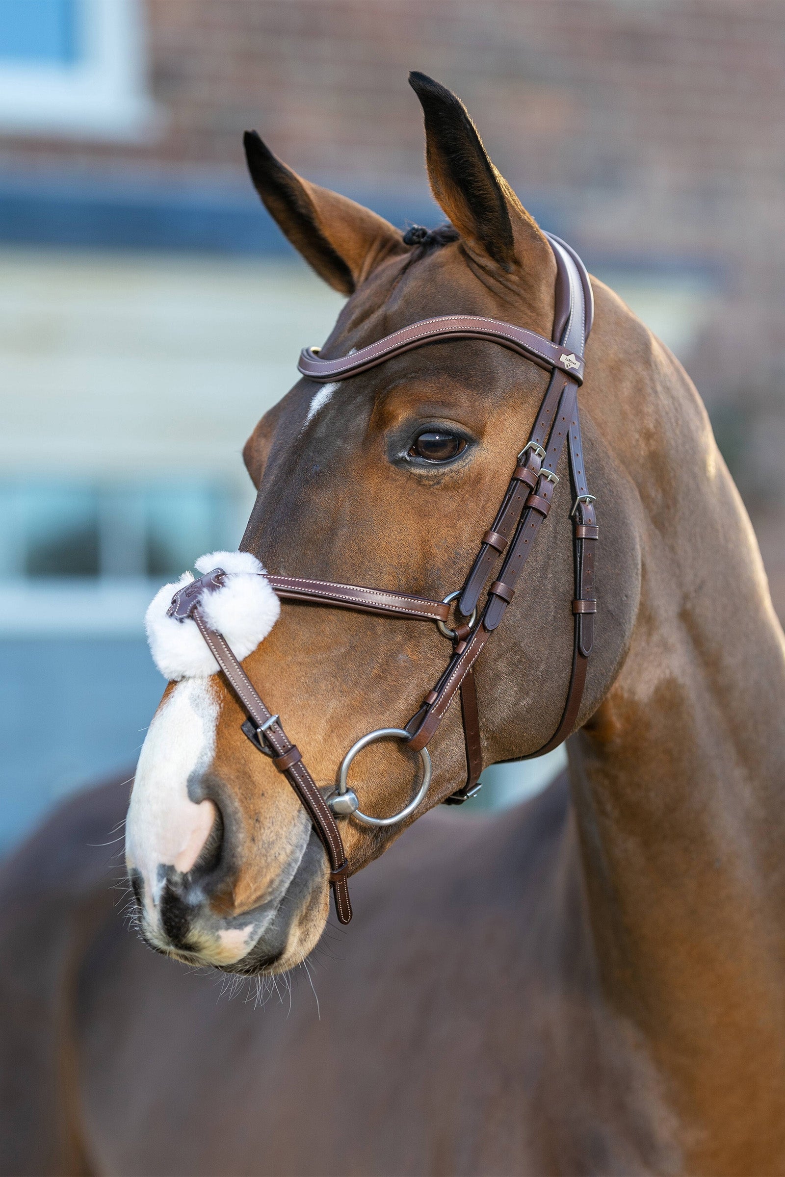 LeMieux Arika Grackle Bridle Bridles & Reins