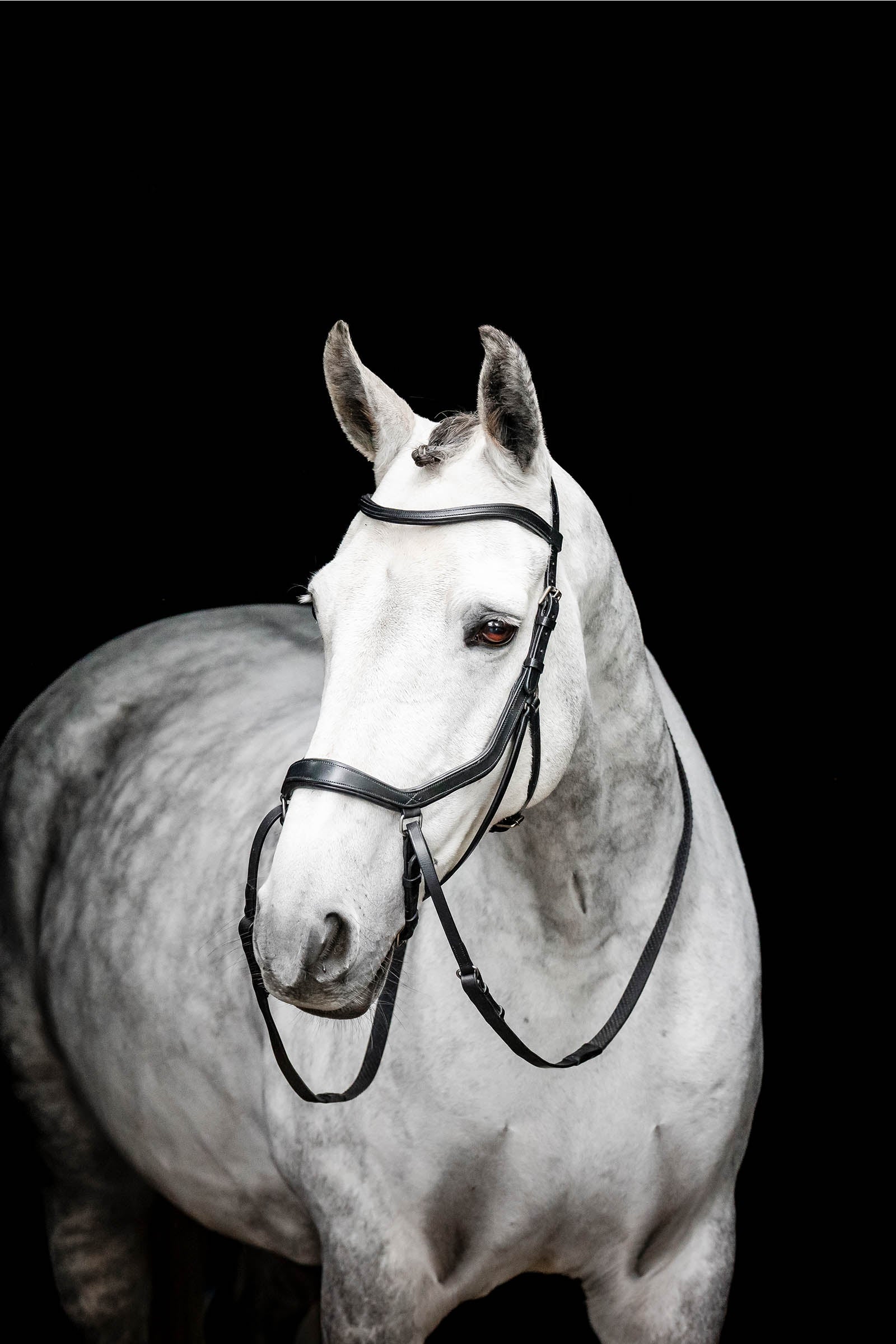 Horseware Micklem testiera senza morso Briglie & redini