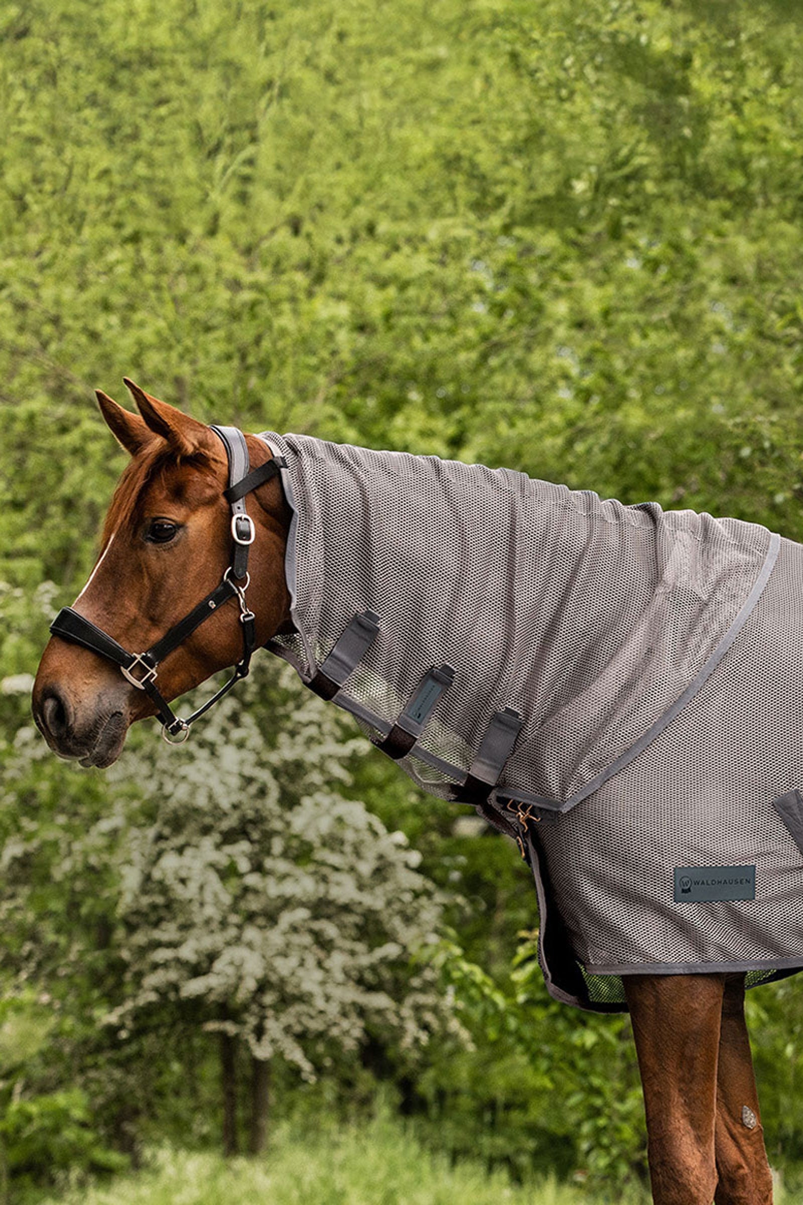 Waldhausen Comfort copricollo antimosche Coperte per cavalli