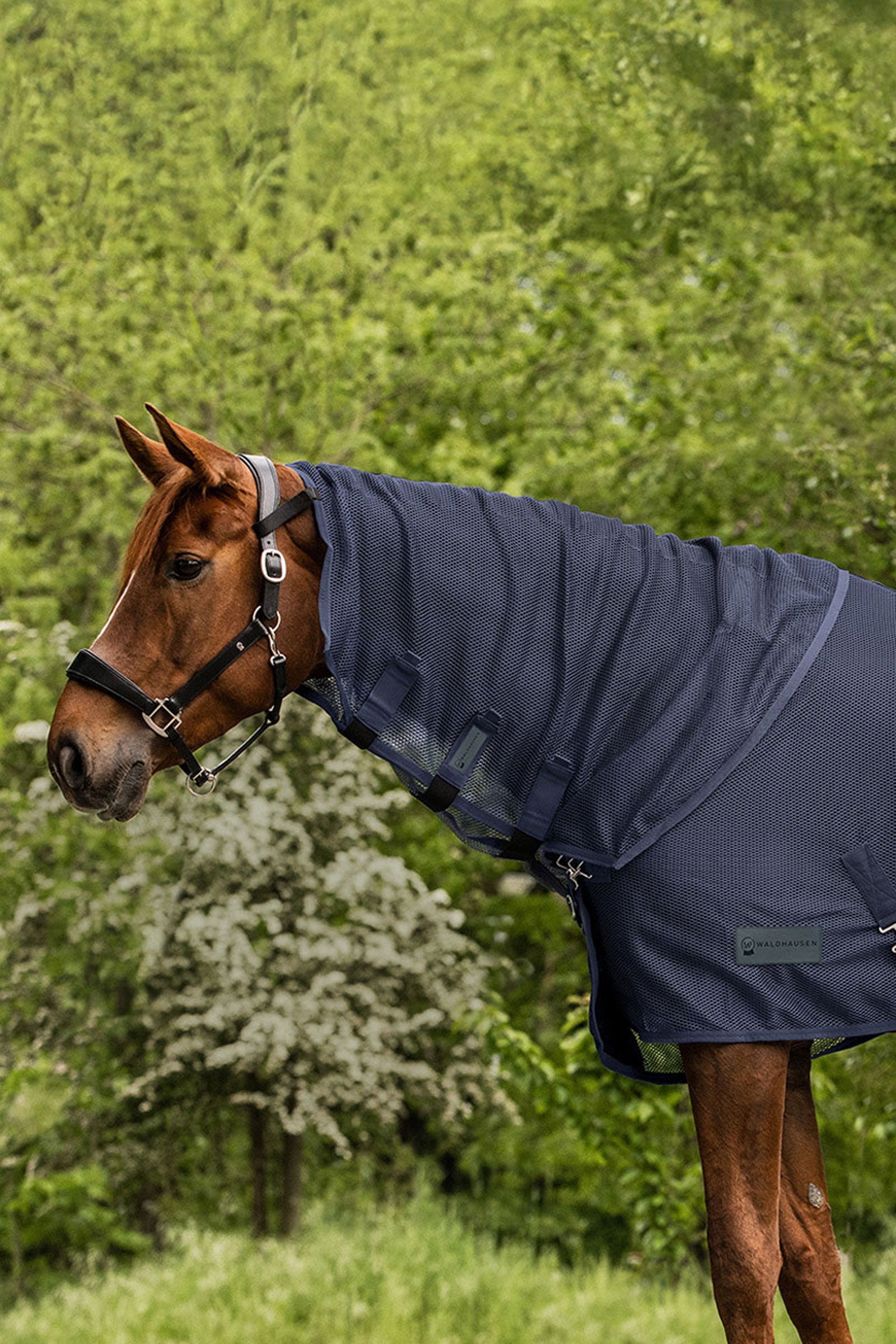 Waldhausen Comfort copricollo antimosche Coperte per cavalli
