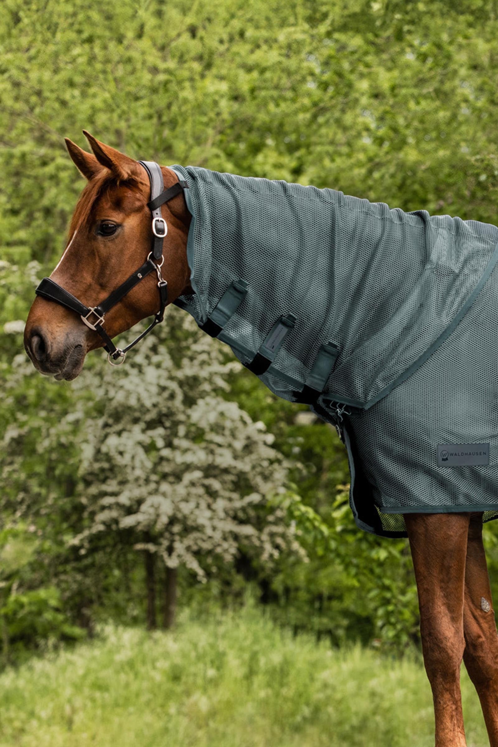 Waldhausen Comfort copricollo antimosche Coperte per cavalli