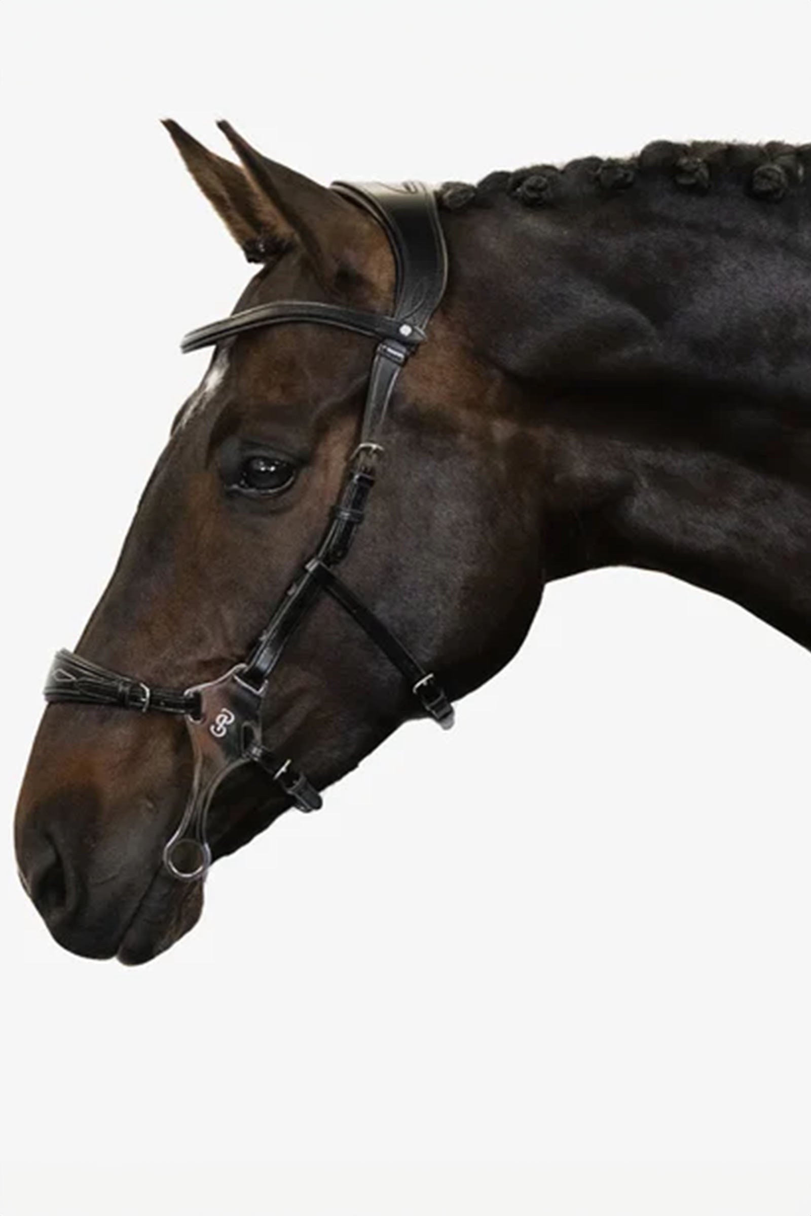 PS of Sweden Briglia Hackamore Sport Briglie & redini