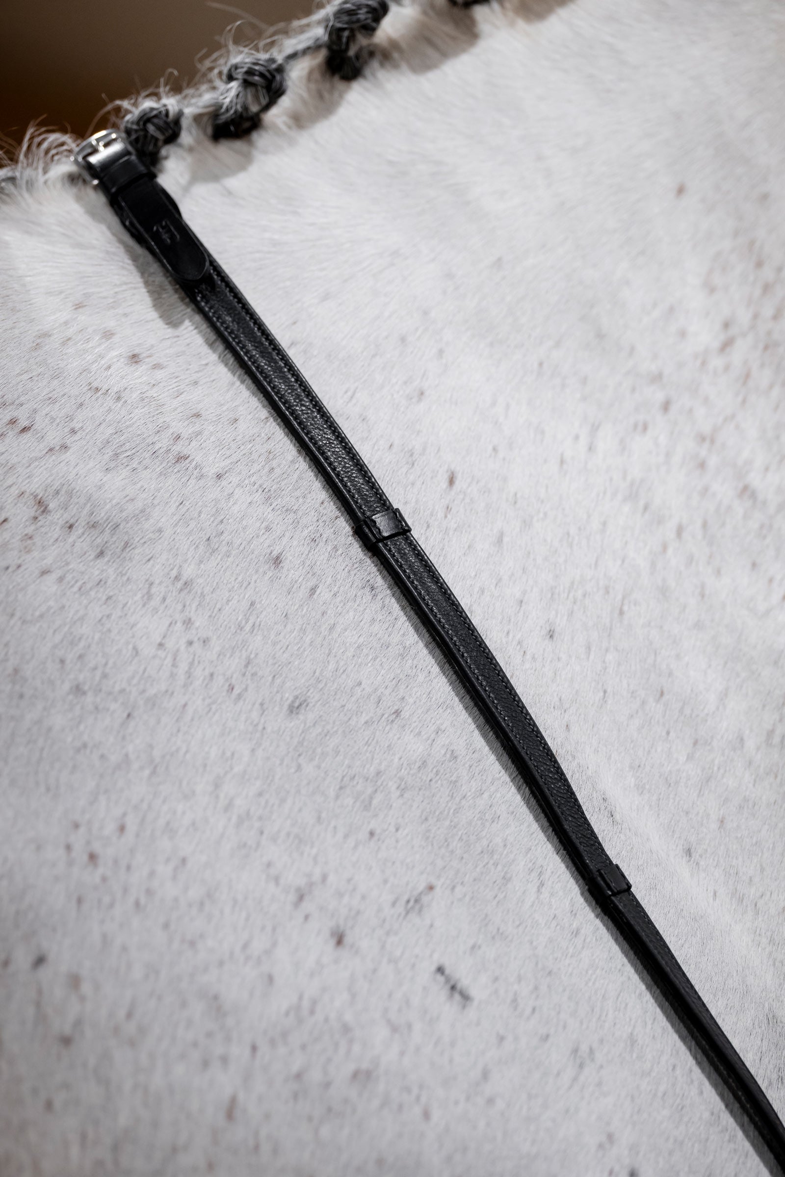 Horseware redini da salto con fermagli Briglie & redini