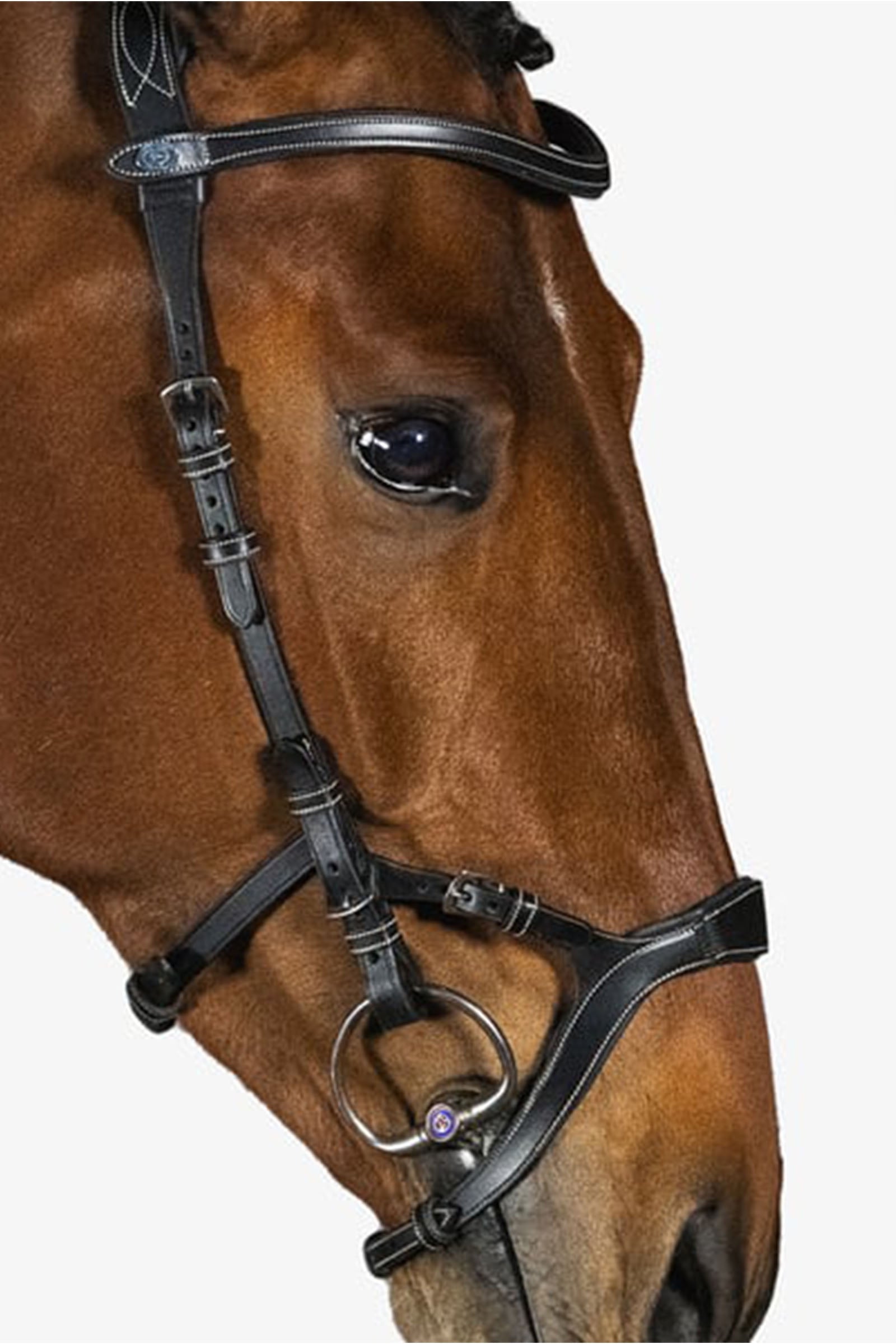 PS of Sweden bridle Nirak Bridles & Reins