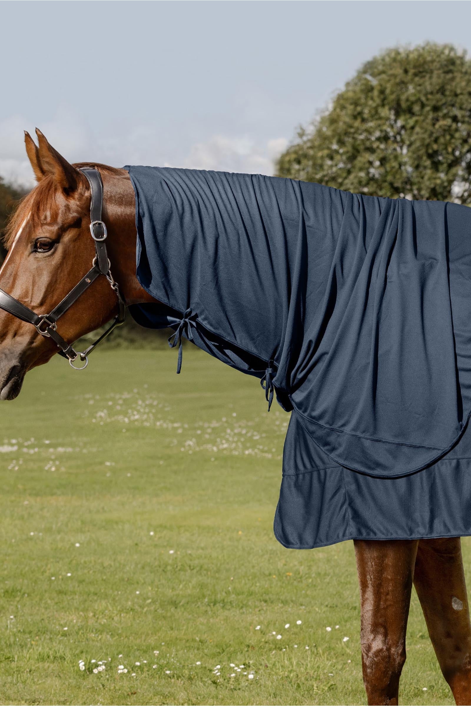 Waldhausen Health + Care Ice Layer parte del collo Coperte per cavalli