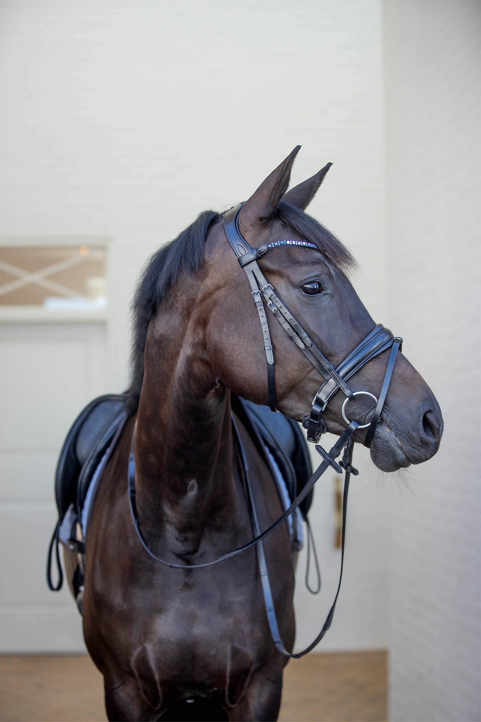 Catago CATAGO Tori Bridle Bridles & Reins