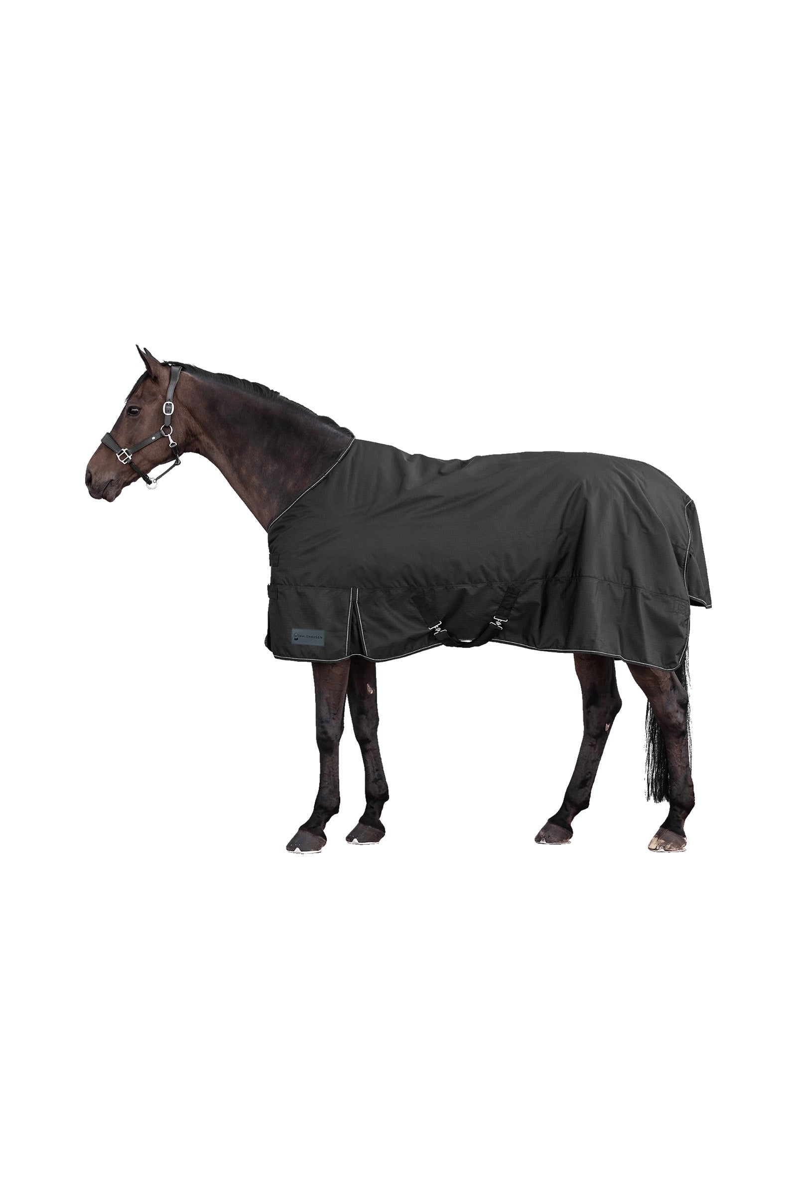 Waldhausen NORDIC 600D Coperta da Esterno, 100 g Coperte per cavalli