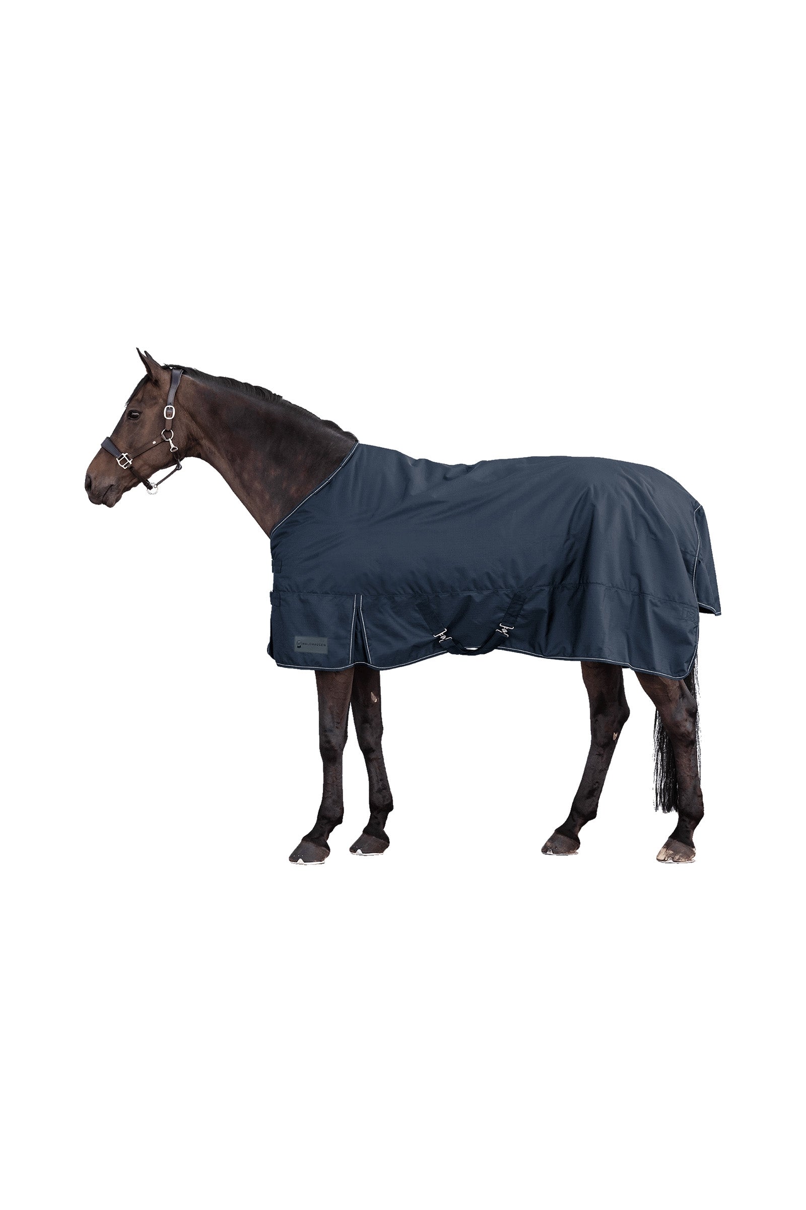 Waldhausen NORDIC 600D Coperta da Esterno, 100 g Coperte per cavalli