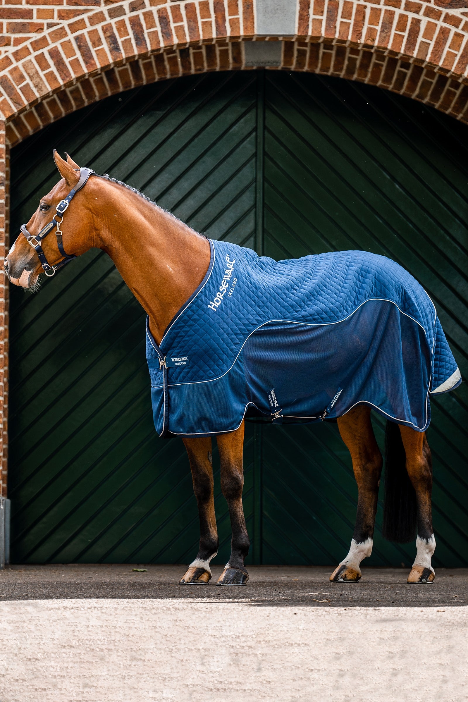 Horseware Signature Coperta da trasporto, 50g Coperte per cavalli
