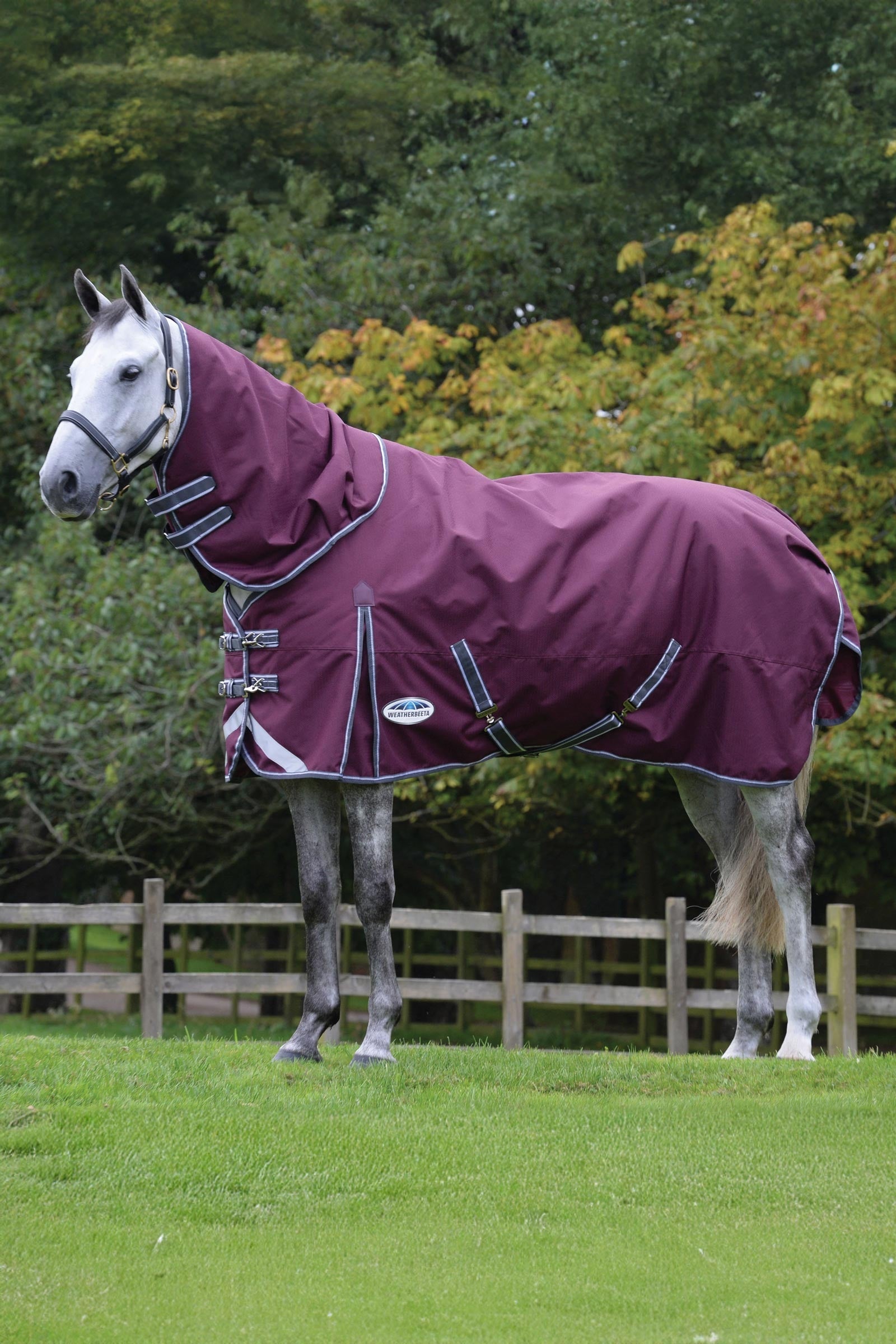 Weatherbeeta Comfitec Plus Dynamic II coperta da turnout con parte collo removibile, 220g Coperte per cavalli