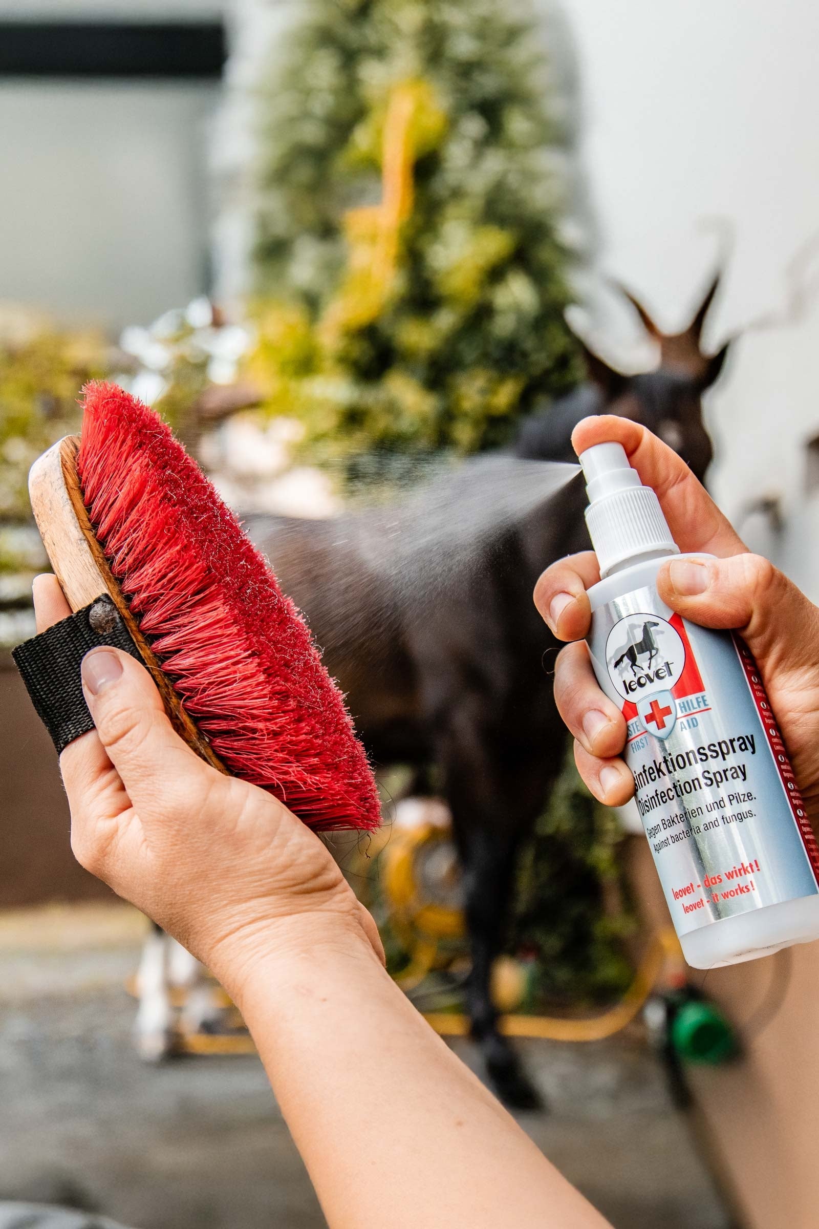 Leovet Disinfection Spray Horse Health Care