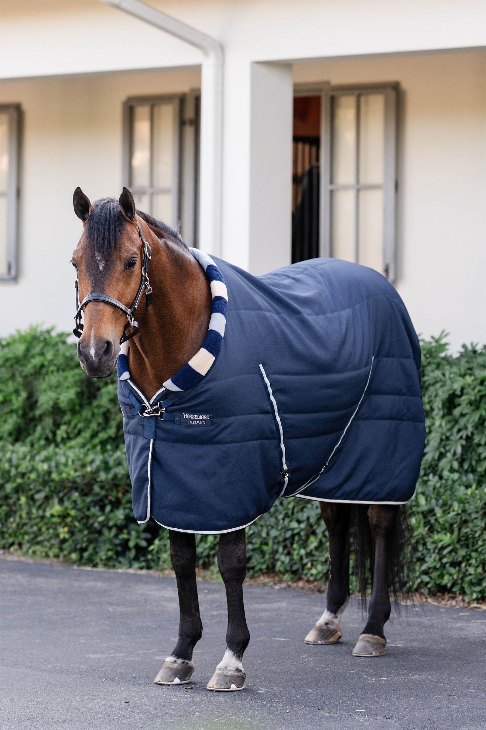 Horseware Newmarket Cosy Stable 100g Horse Rugs