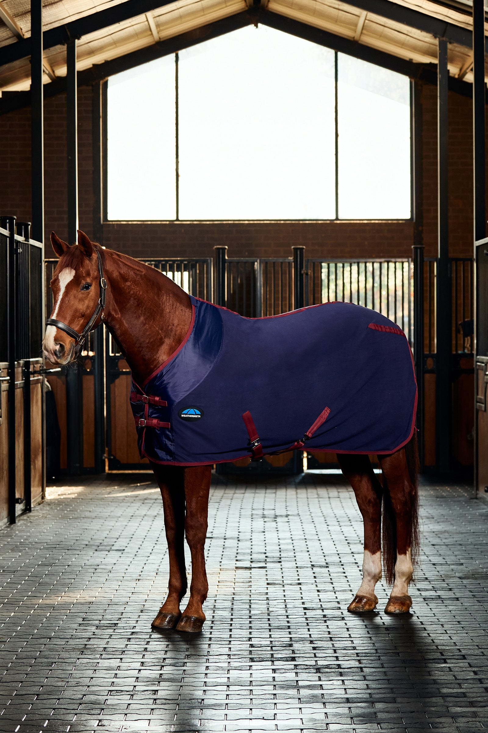 Weatherbeeta Anti-Sta Tic Fleece Cooler Rug Standard Neck Coperte per cavalli