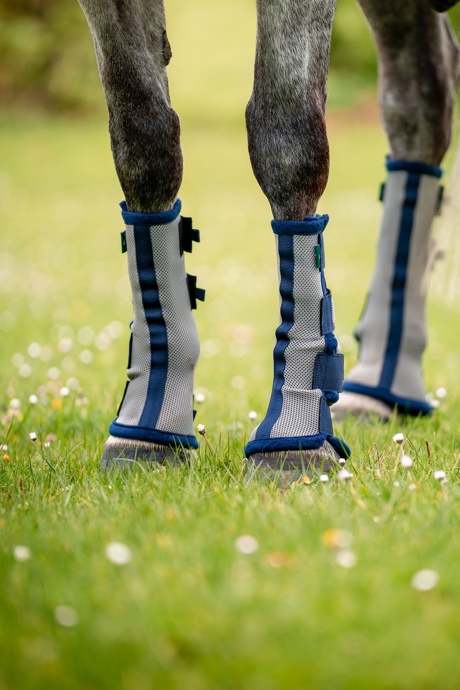 Horseware Fly Boots - set of 2 Leg Protection & Hoof Protection for Horses