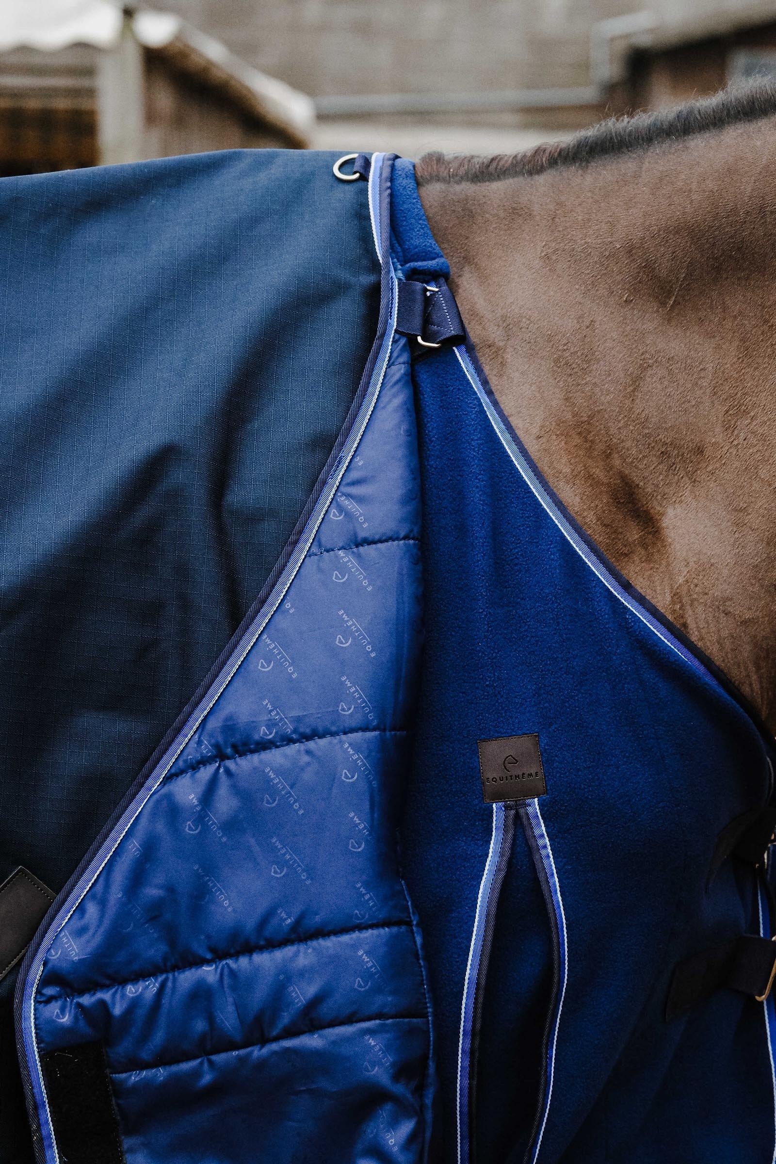 Equi Theme EQUITHÈME Classic 1200D Turnout Rug, 100 g Horse Rugs