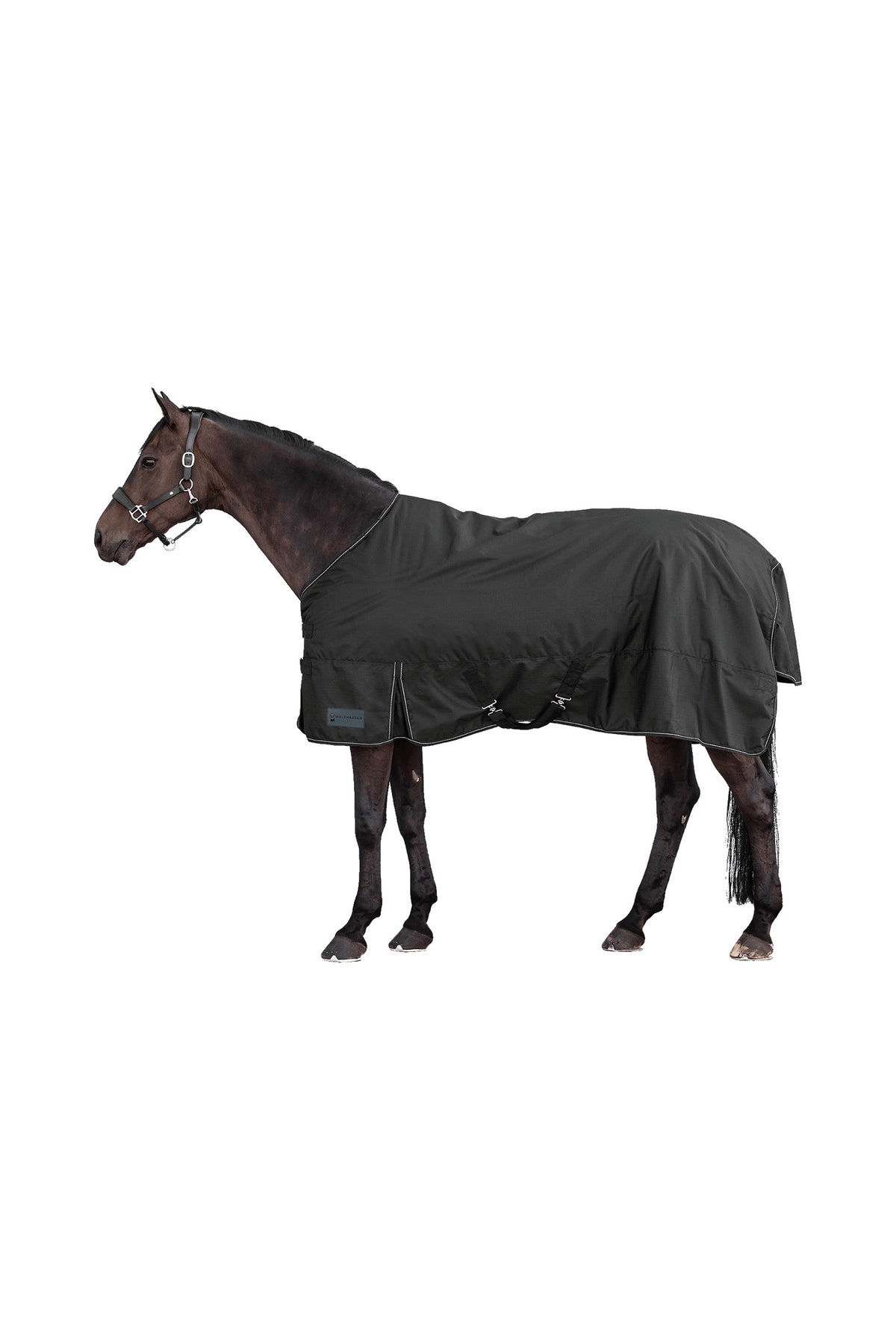 Waldhausen NORDIC 600D Light Coperta da Esterno Coperte per cavalli
