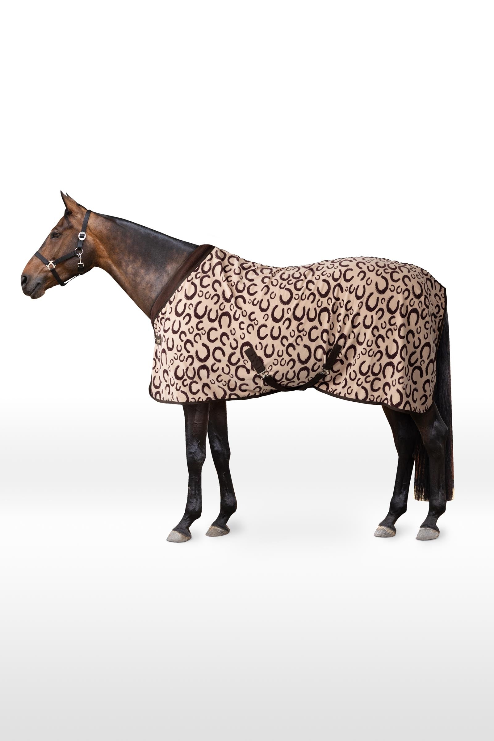 Horze coperta antisudore in teddyfleece con pelo alto Coperte per cavalli
