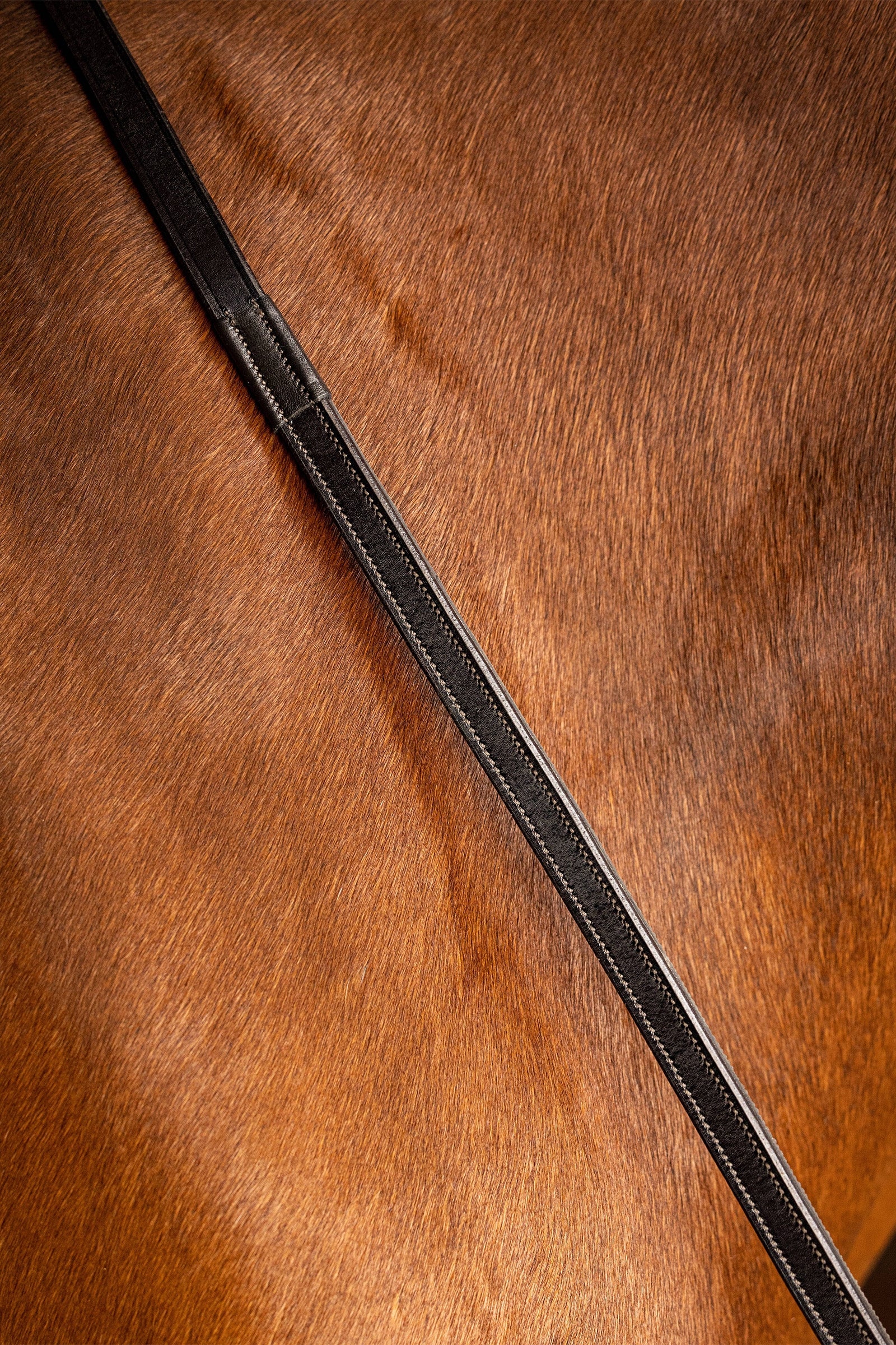 LeMieux Rubber Half lined Reins Bridles & Reins
