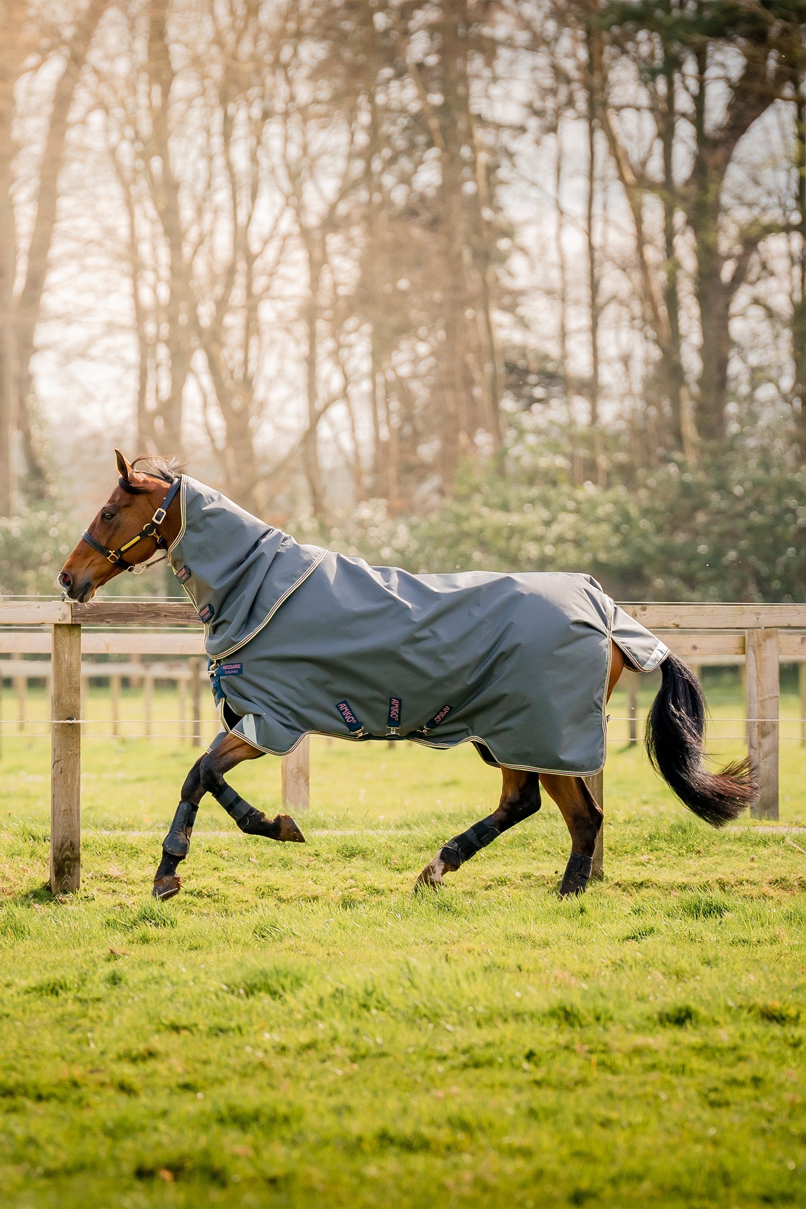 Horseware Amigo Bravo 12 Plus coperta da turnout con collo staccabile, 0g Coperte per cavalli