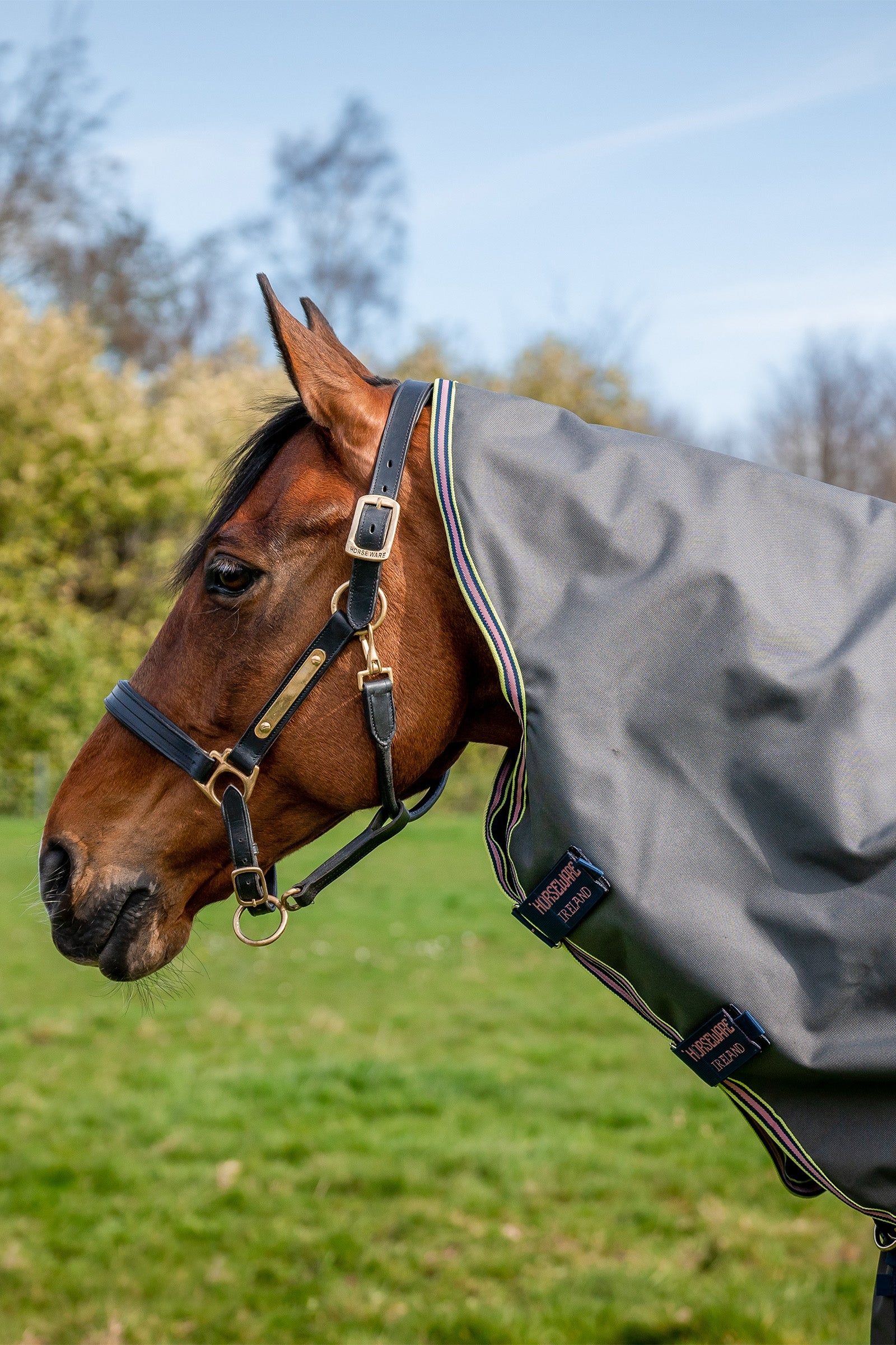 Horseware Amigo Bravo 12 Plus Turnout Rug With Detachable Neck, 0g Horse Rugs