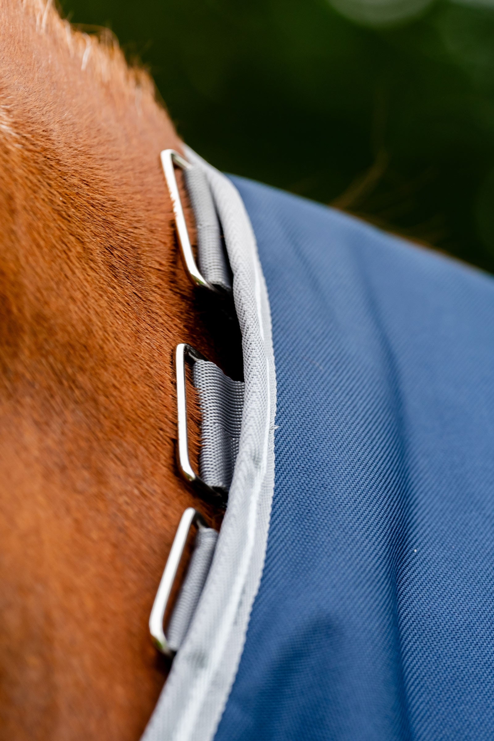 Horseware Amigo Bravo 12 Plus Turnout Rug With Detachable Neck, 0g Horse Rugs