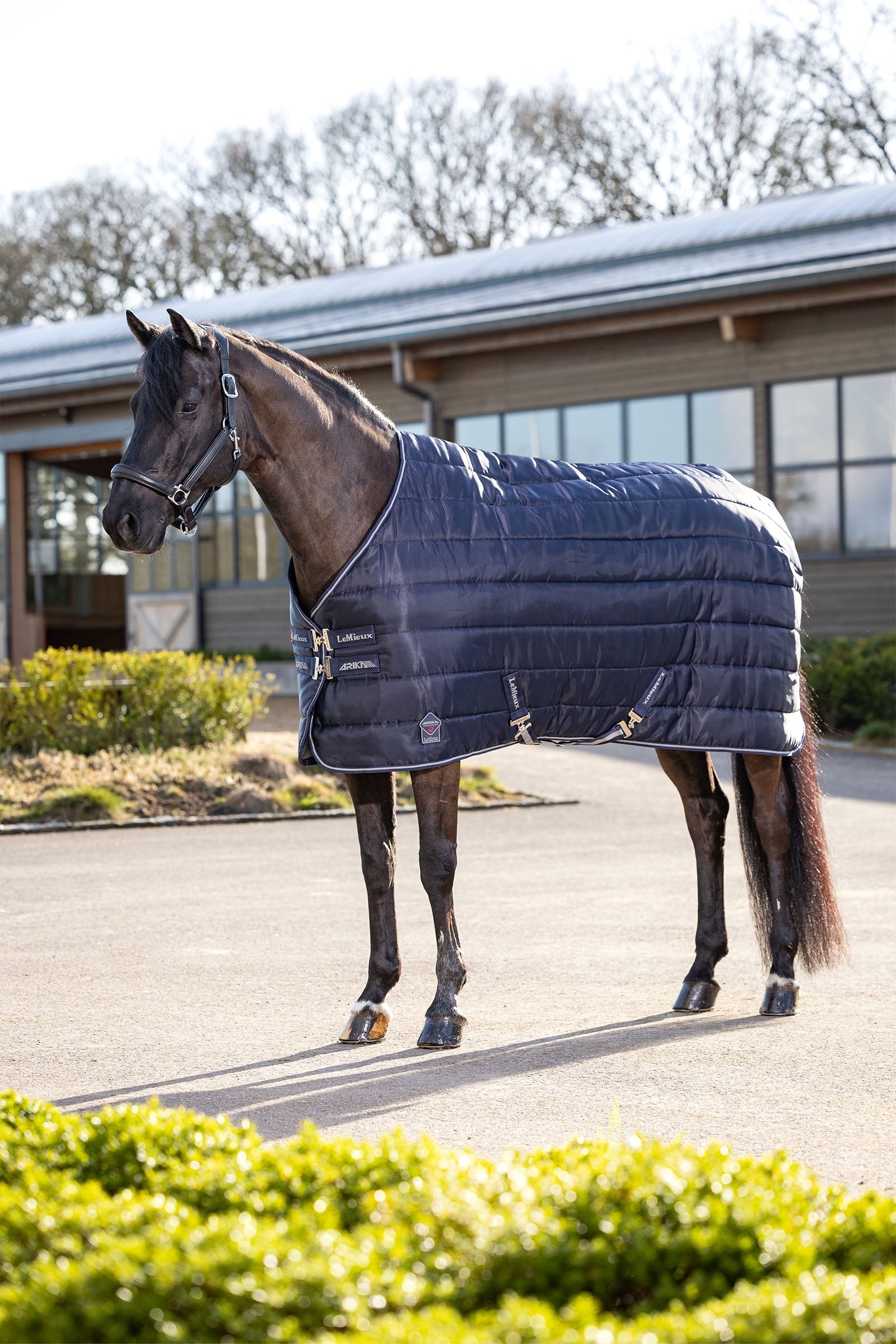 LeMieux Arika Stable-Tek 100g Coperte per cavalli